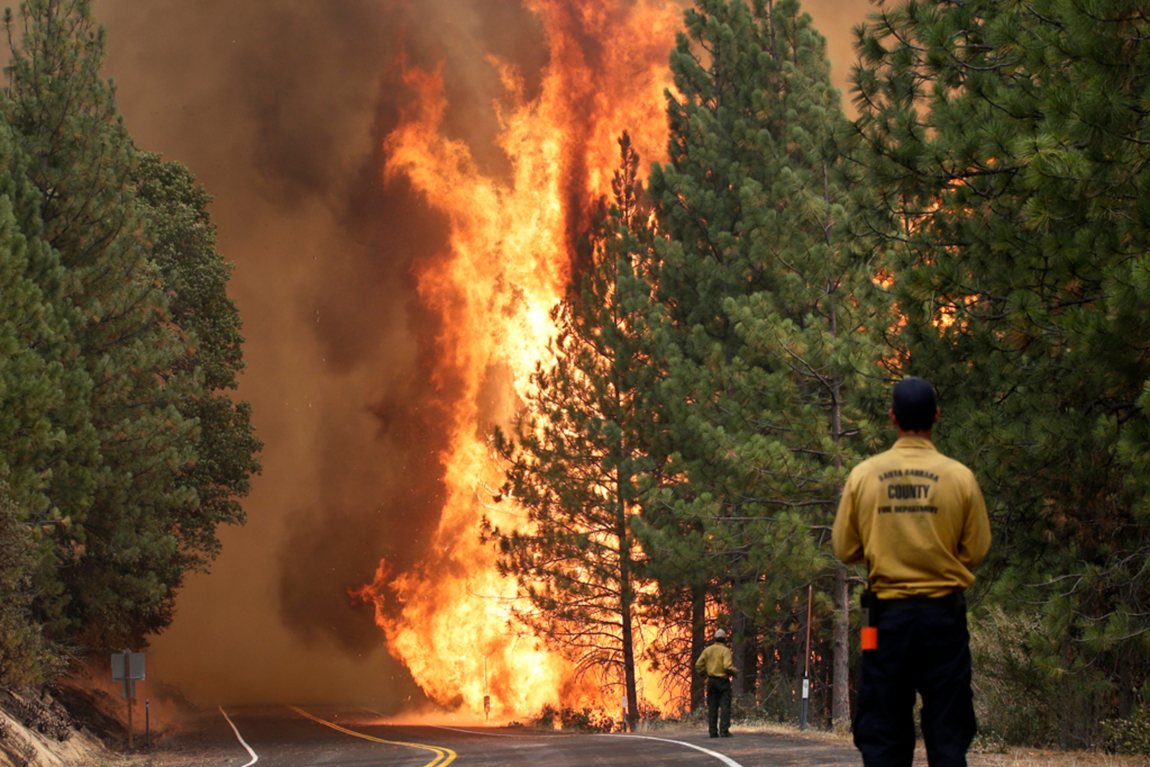 The Rim Fire burns along Highway 120 near Yosemite National Park, Calif., on Sunday, Aug. 25, 2013. With winds gusting to 50 mph on Sierra mountain ridges and flames jumping from treetop to treetop, hundreds of firefighters have been deployed to protect this and other communities in the path of the Rim Fire raging north of Yosemite National Park. (AP Photo/Jae C. Hong)