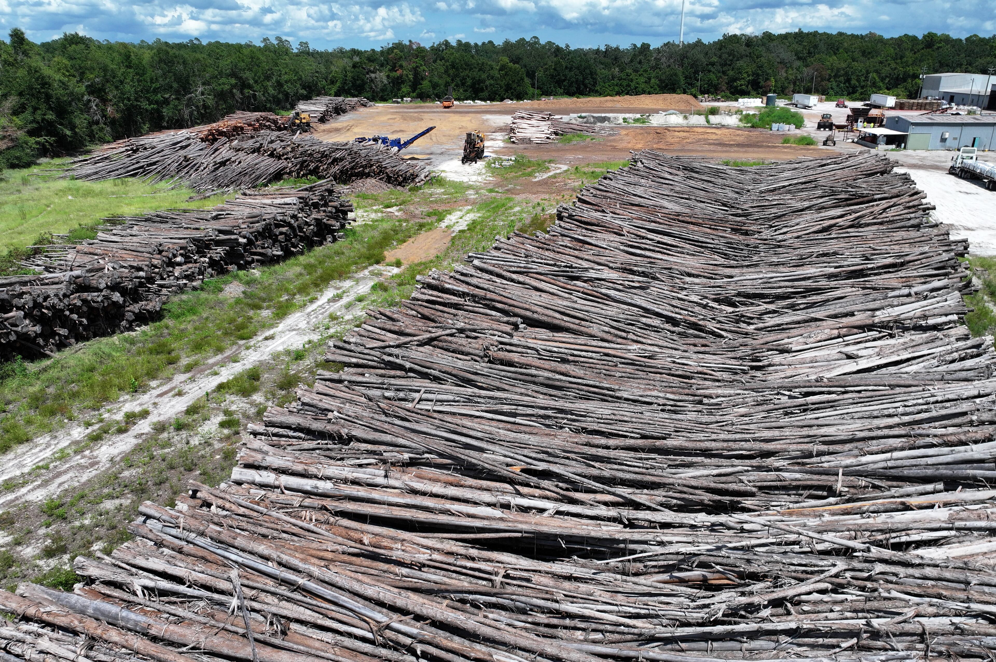 An aerial photo shows a timber yard near downtown Folkston on Tuesday, August 12, 2025. (Hyosub Shin / AJC)