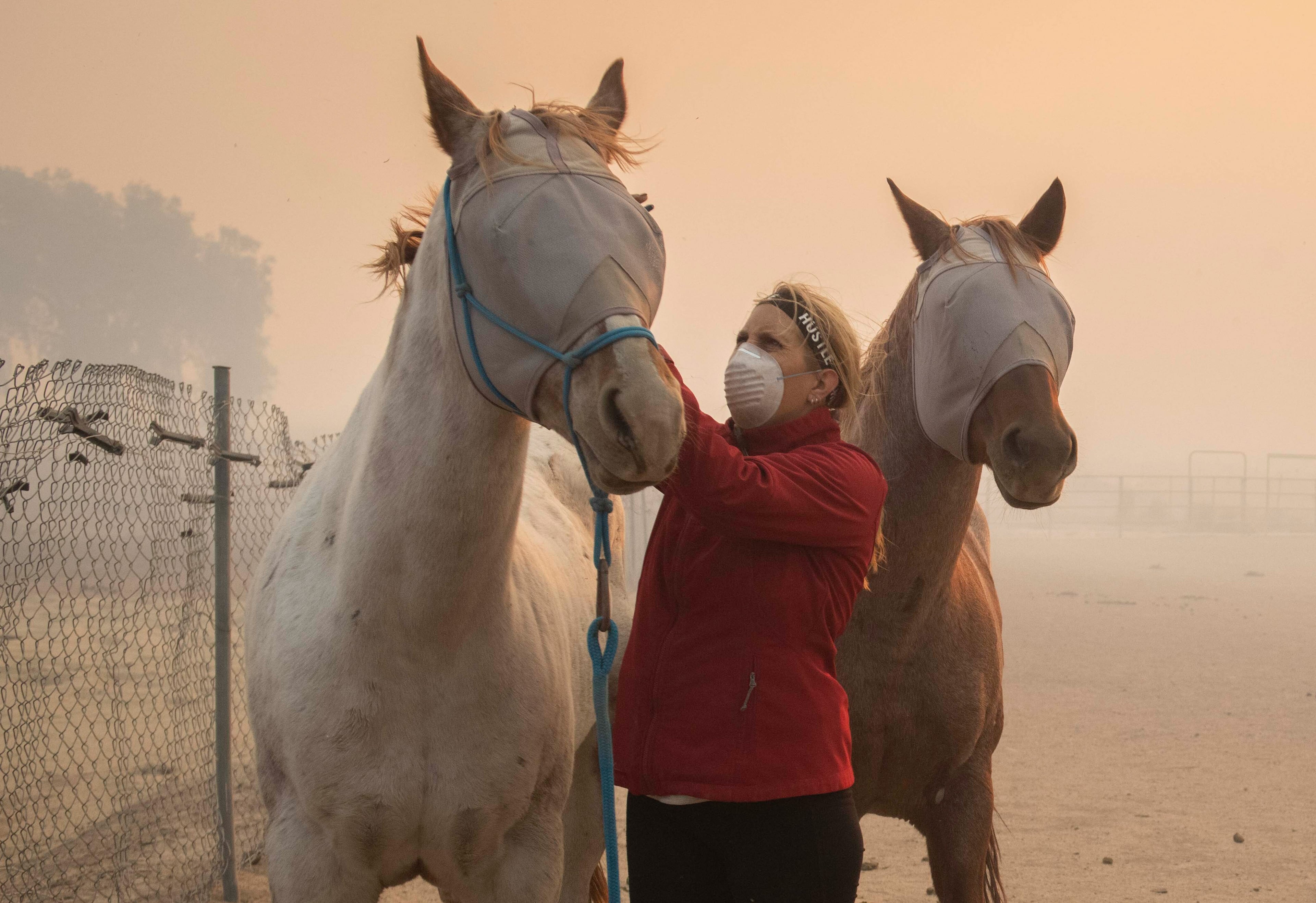 Volunteers help evacuate horses during the Easy Fire, Wednesday, Oct. 30, 2019, in Simi Valley, Calif. A new wildfire erupted Wednesday in wind-whipped Southern California, forcing the evacuation of the Ronald Reagan Presidential Library and nearby homes, as both ends of the state struggled with blazes, dangerously gusty weather and deliberate blackouts. (AP Photo/ Christian Monterrosa)