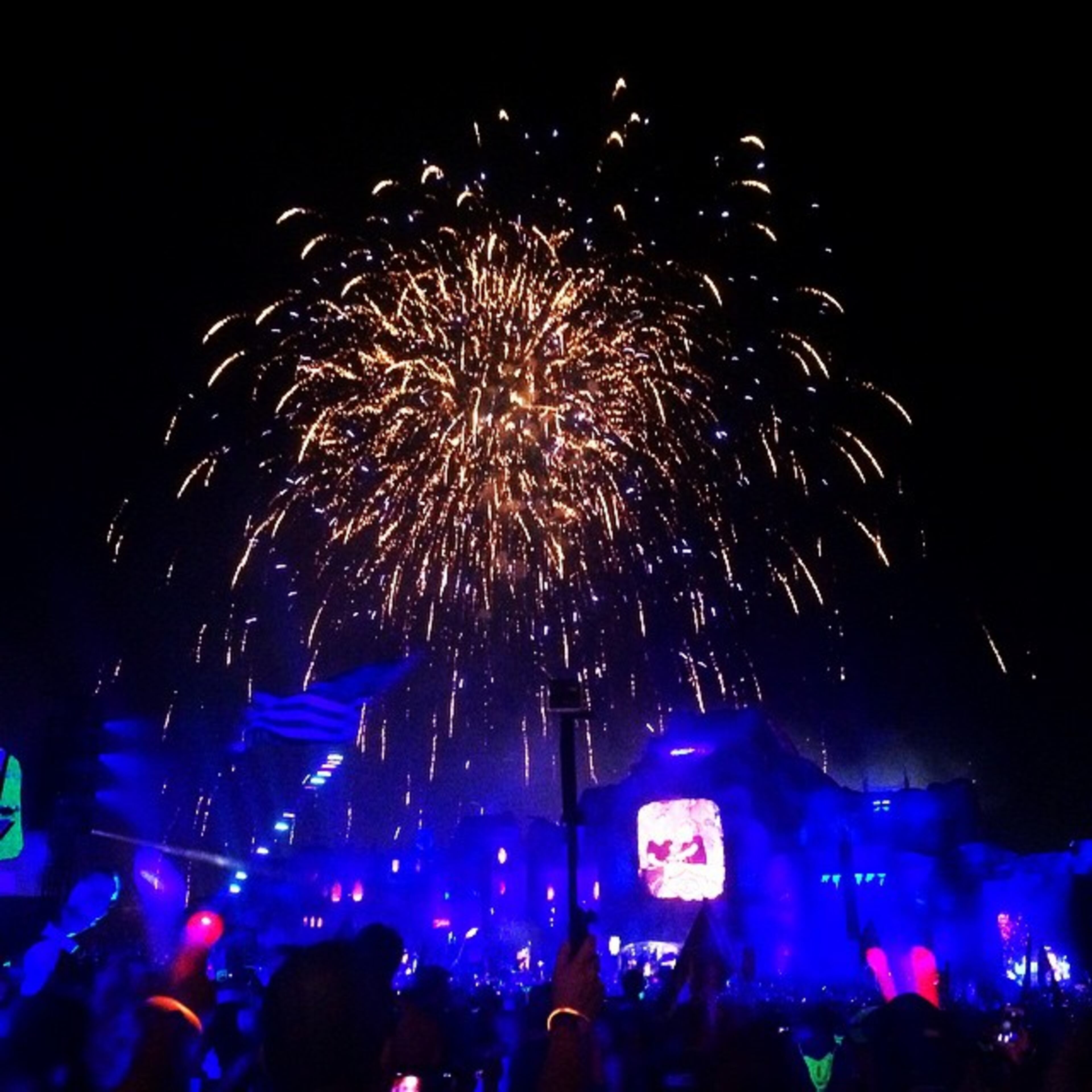 kasey_brinson: #TomorrowWorld