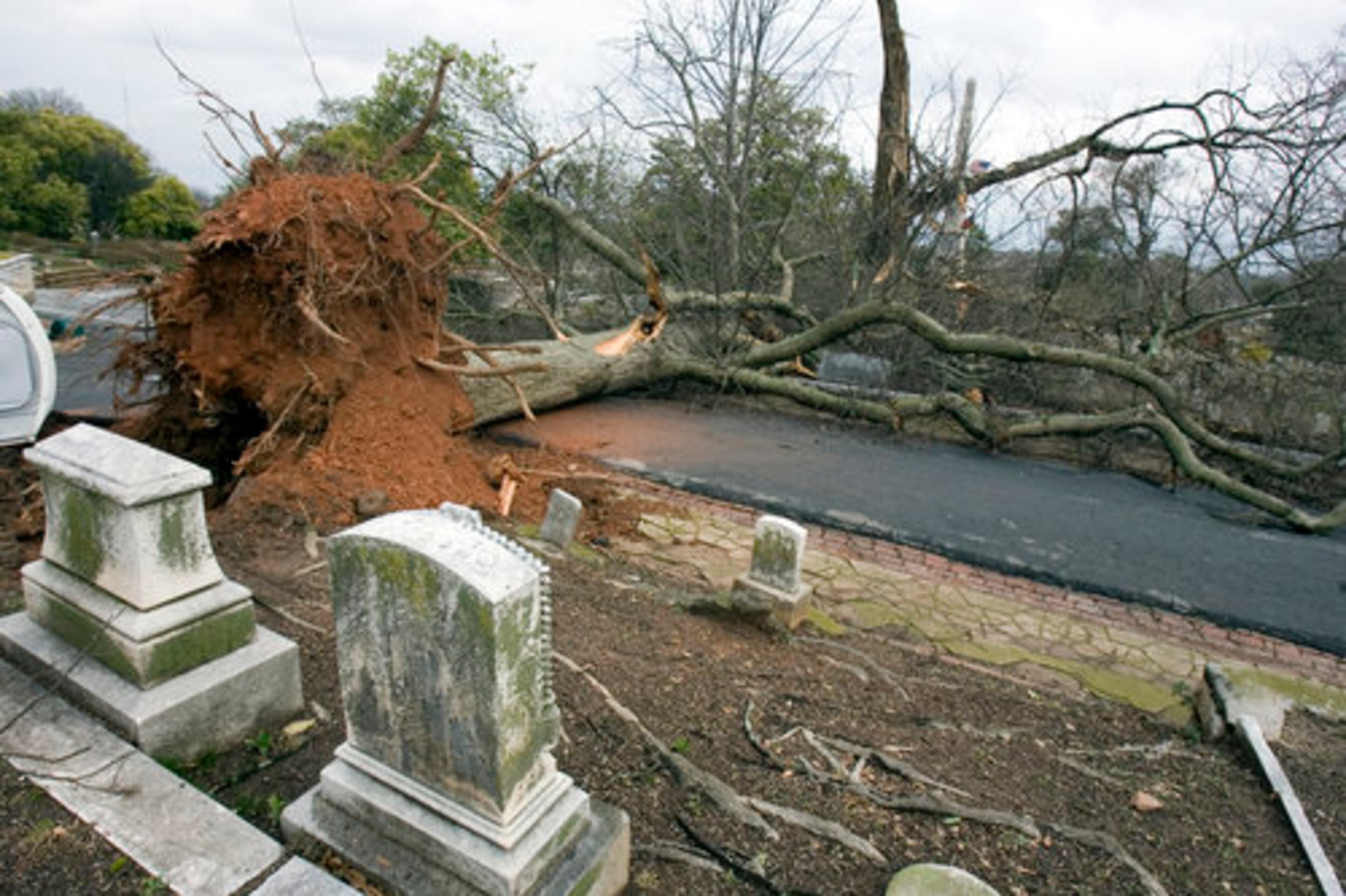 Saturday: A downed tree was among graves in Oakland Cemetery. Sam Reed, sexton of Oakland Cemetery, said he was in the cemetery's bell tower when high winds hit the previoius night. He said 50 to 60 trees in the cemetery were damaged or destroyed, as well as many gravestones and memorials.