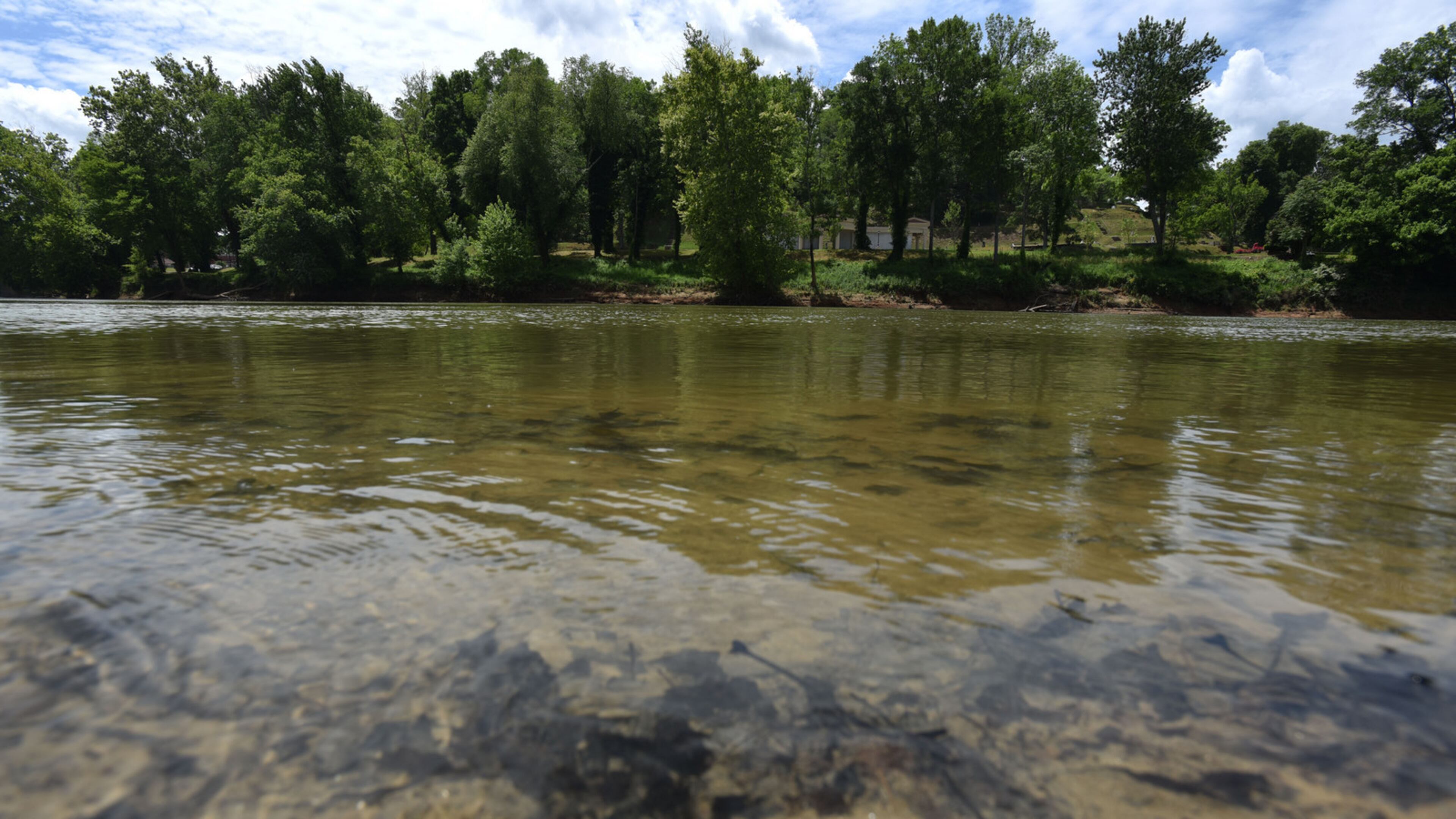 The Coosa River downstream from a Georgia Power plant near Rome could be affected by the Trump administration’s decision to delay Obama-era wastewater rules for coal-fired power plants, say environmentalists. Photo: HYOSUB SHIN / HSHIN@AJC.COM