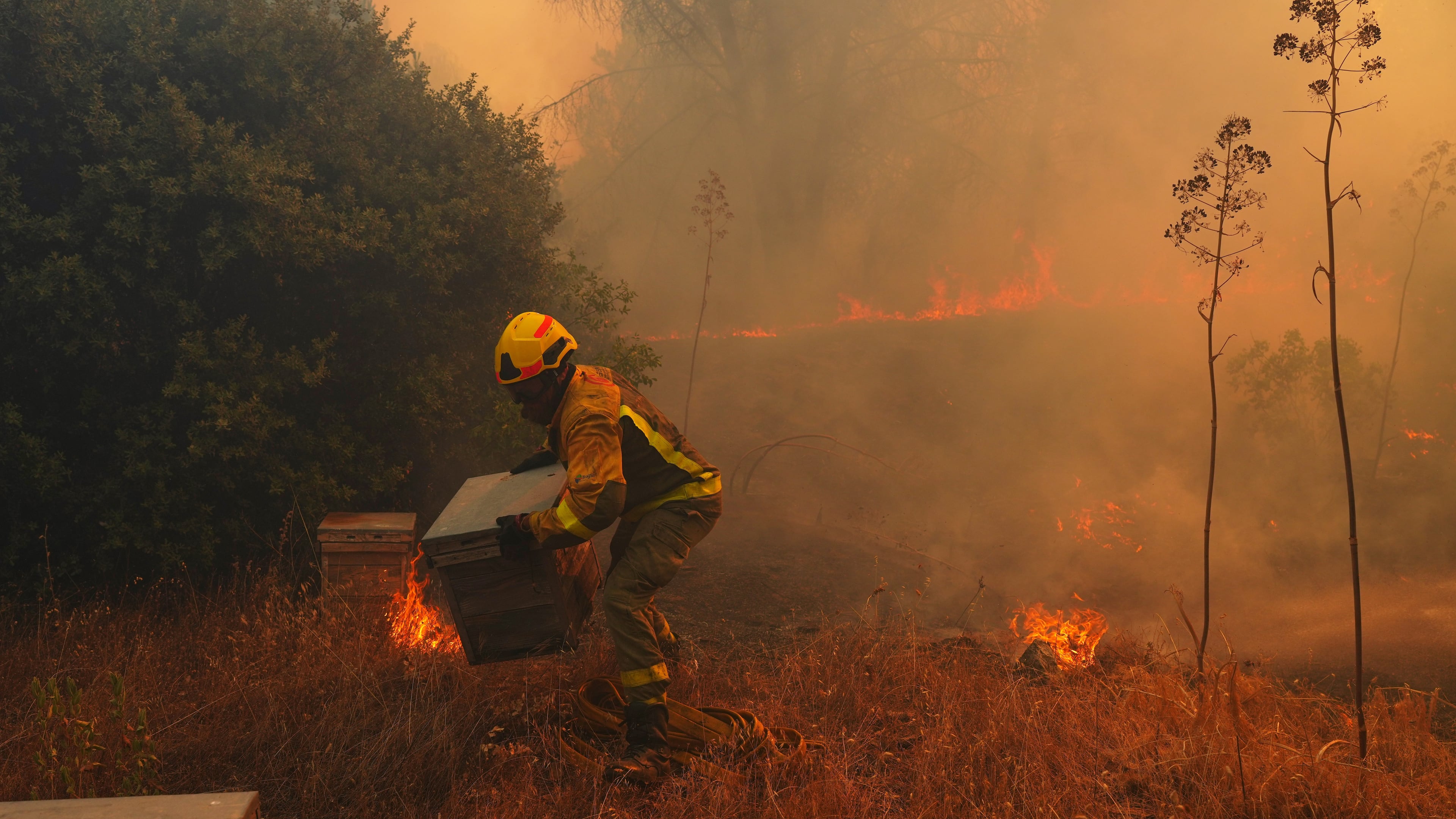 FILE - A firefighter moves beehives away from flames while battling a wildfire in San Martin de Valdeiglesias, west of Madrid, Spain, July 26, 2026. (AP Photo/Manu Fernandez, File)