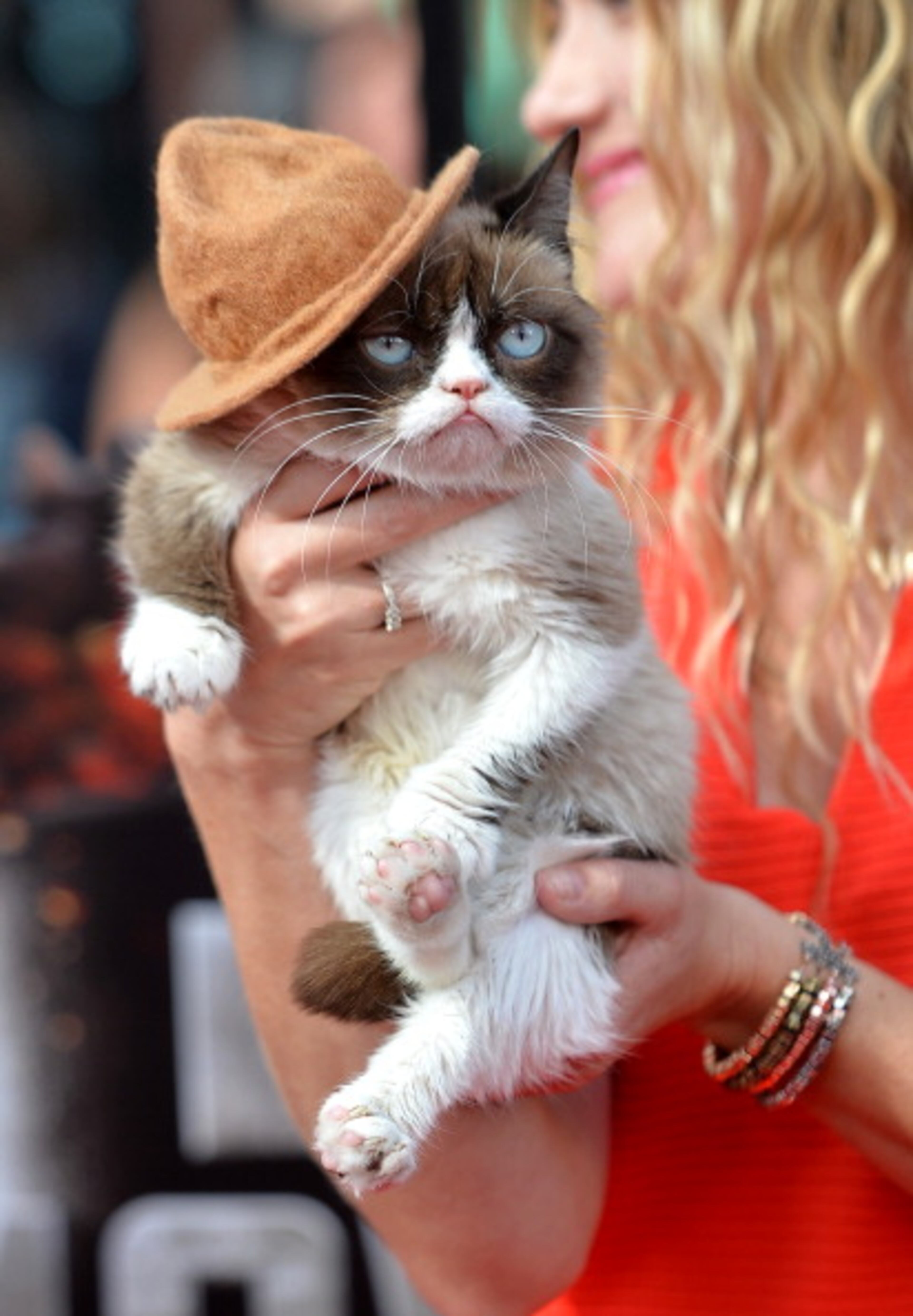 LOS ANGELES, CA - APRIL 13: Grumpy Cat attends the 2014 MTV Movie Awards at Nokia Theatre L.A. Live on April 13, 2014 in Los Angeles, California. (Photo by Michael Buckner/Getty Images)