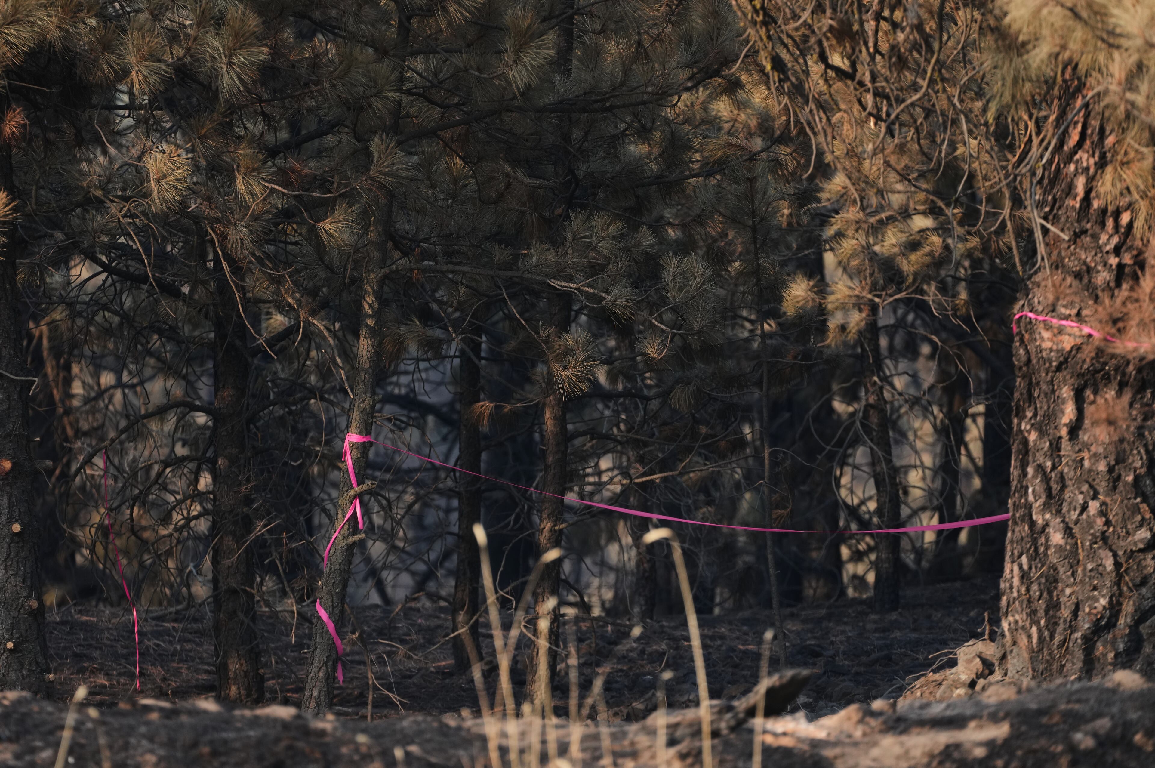 Western Wildfires