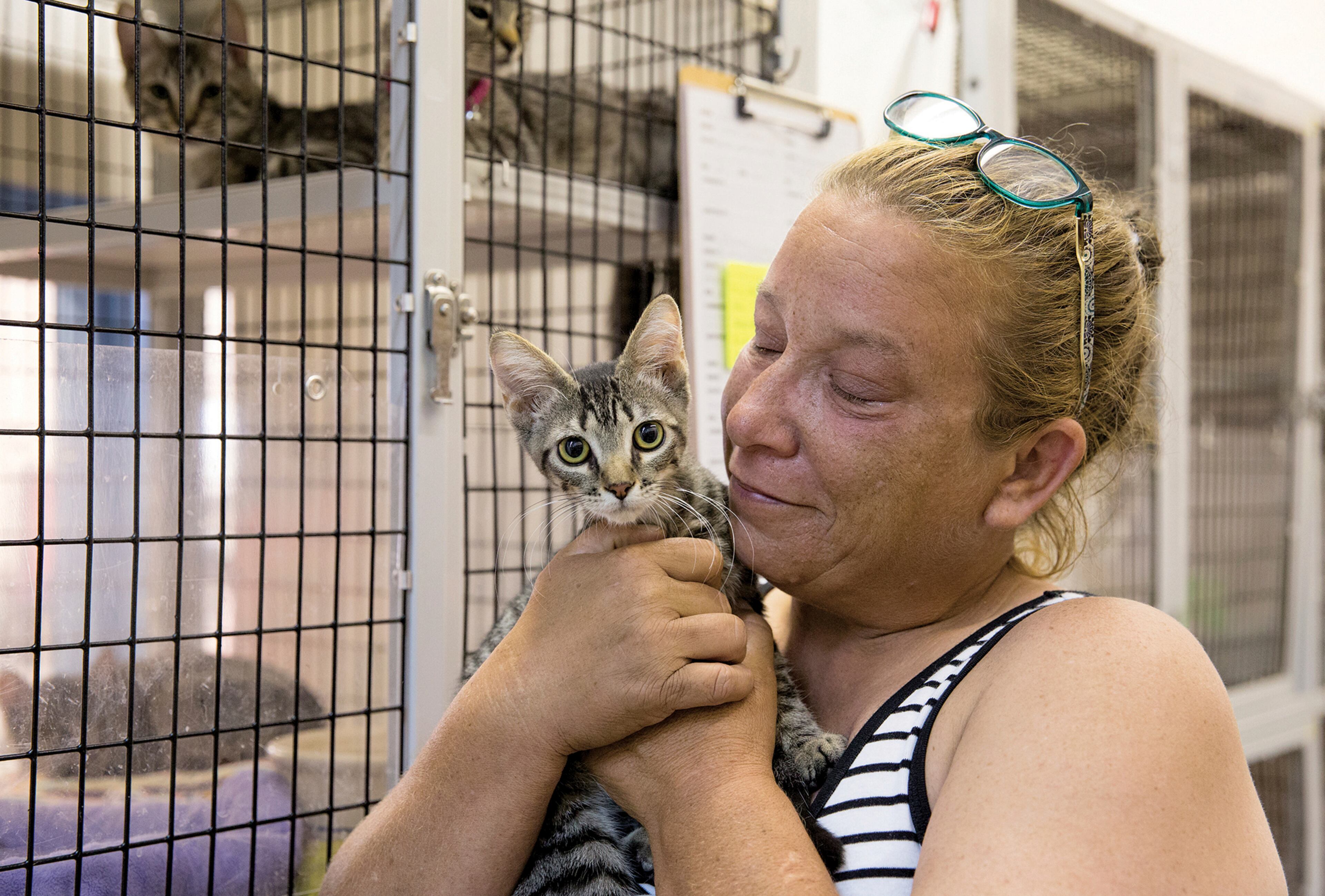Melodie Griffith holds one of the cats at the Calhoun County Humane Society in Port Lavaca, Texas, Thursday, Aug. 24, 2017. Griffith and other volunteers have been trying find foster homes for the remaining animals until Hurricane Harvey passes. (Ana Ramirez/The Victoria Advocate via AP)