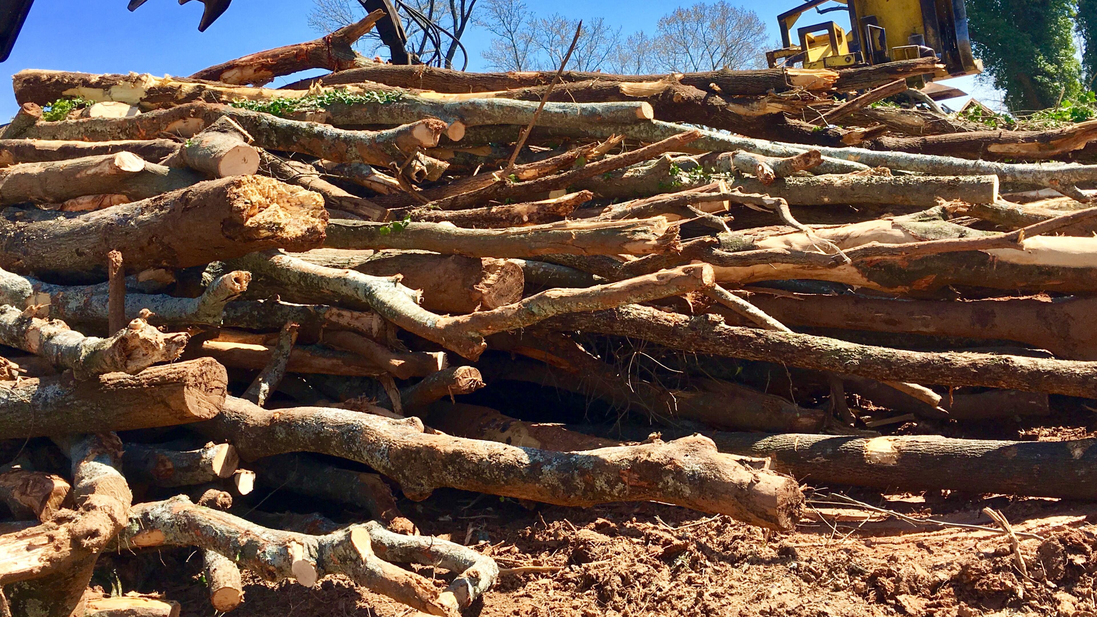 A portion of the four acres in southeast Decatur that’ll be turned into a development called Hargrove. It appears most of the property’s been cleared of trees despite signs surrounding the site saying “Tree Save Area.” Construction should start on the 59 single-family homes and attached townhomes in early summer and finish by December 2018. Bill Banks for the AJC