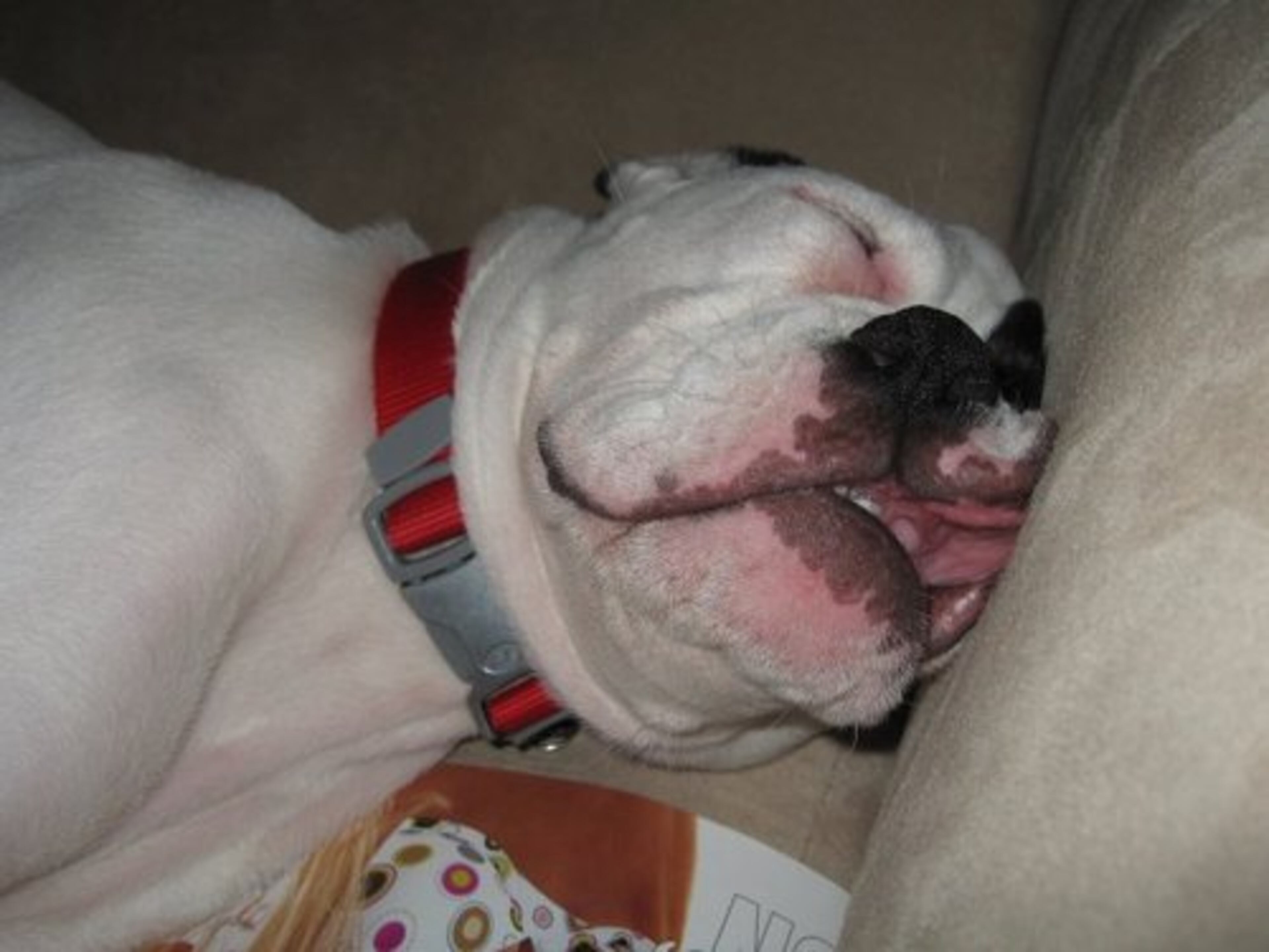 This confirms it, I'm not a pretty sleeper.