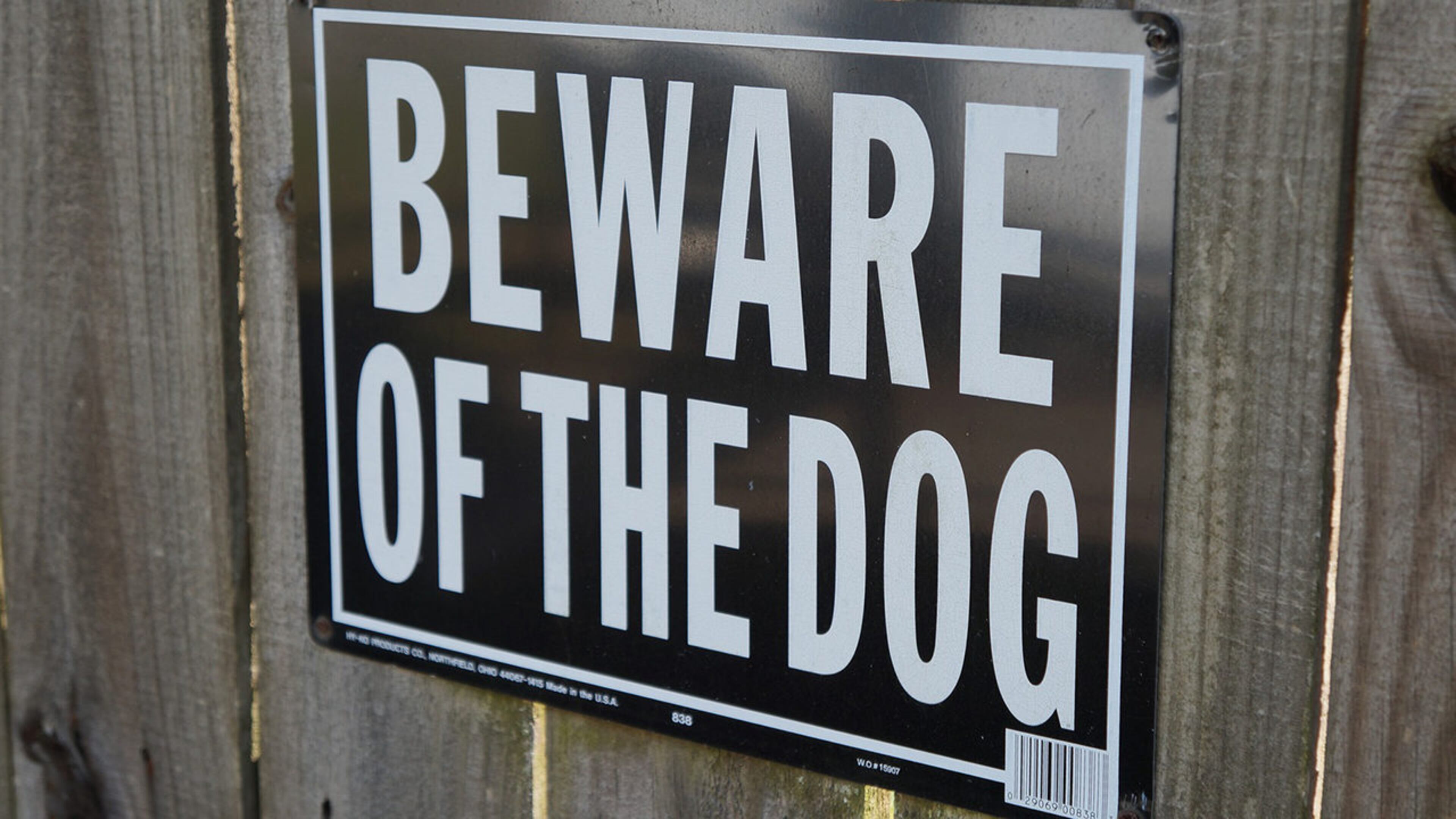 Stock photo of a "Beware of the Dog" sign.