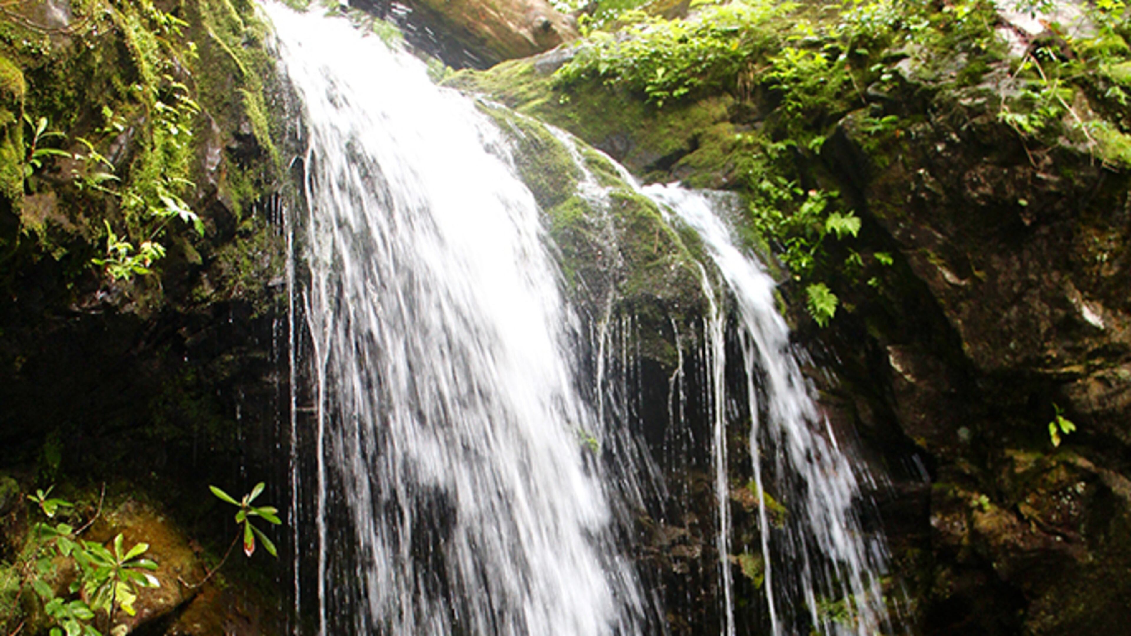 Grotto Falls near Gatlinburg is one of the easier waterfalls in the Great Smoky Mountain National Park to get to and quite pretty.