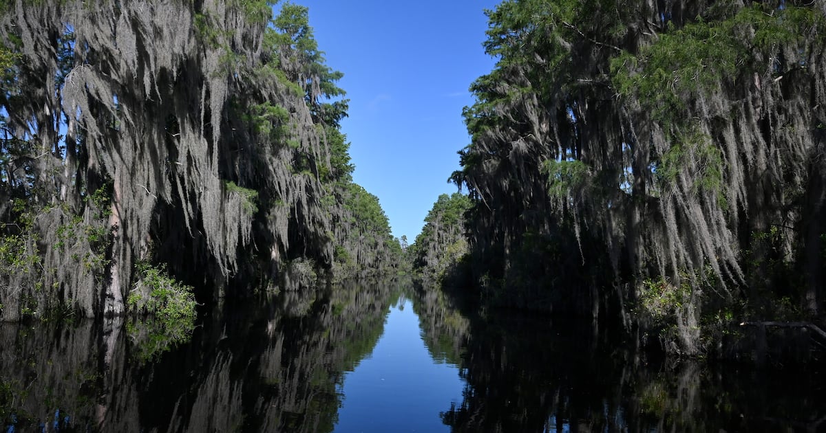 Das Okefenokee-Sumpfgebiet ist nun Weltkulturerbe. Jetzt kommt der ...