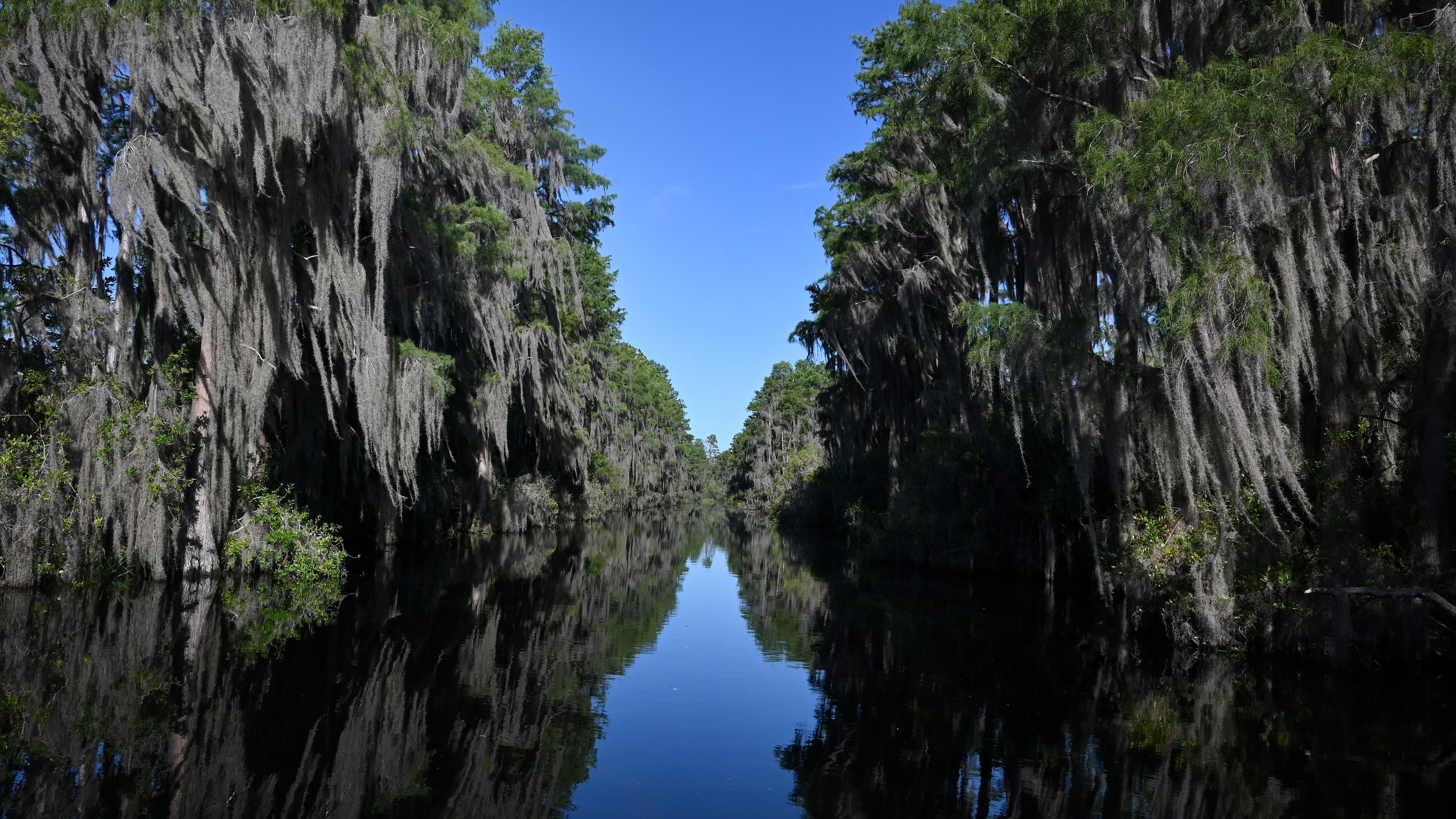 The Okefenokee National Wildlife Refuge became Georgia's first World Heritage site and the first natural site in the U.S. added to the list in more than 30 years. (Hyosub Shin/AJC 2025)