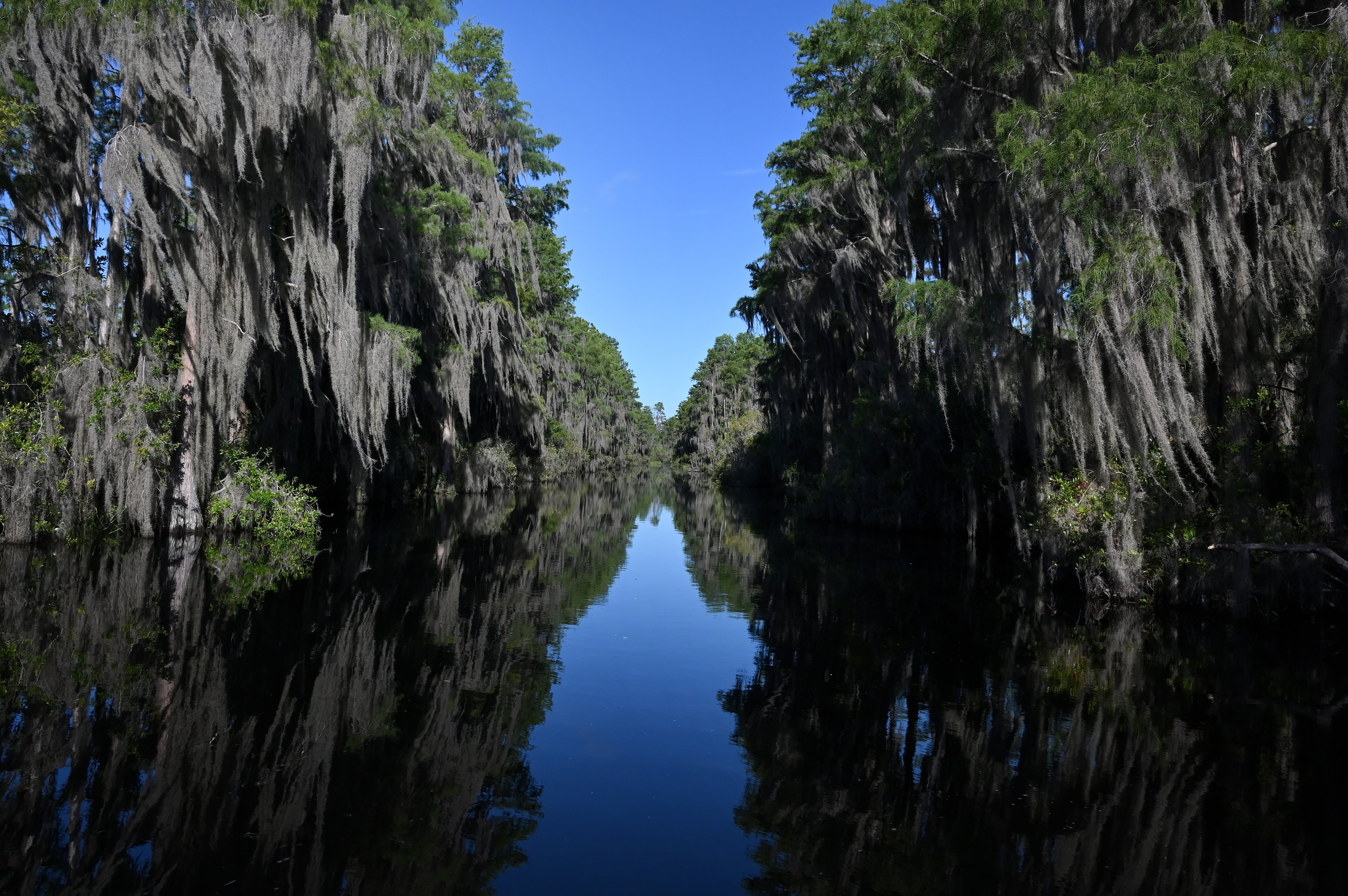 Okefenokee mining threat remains