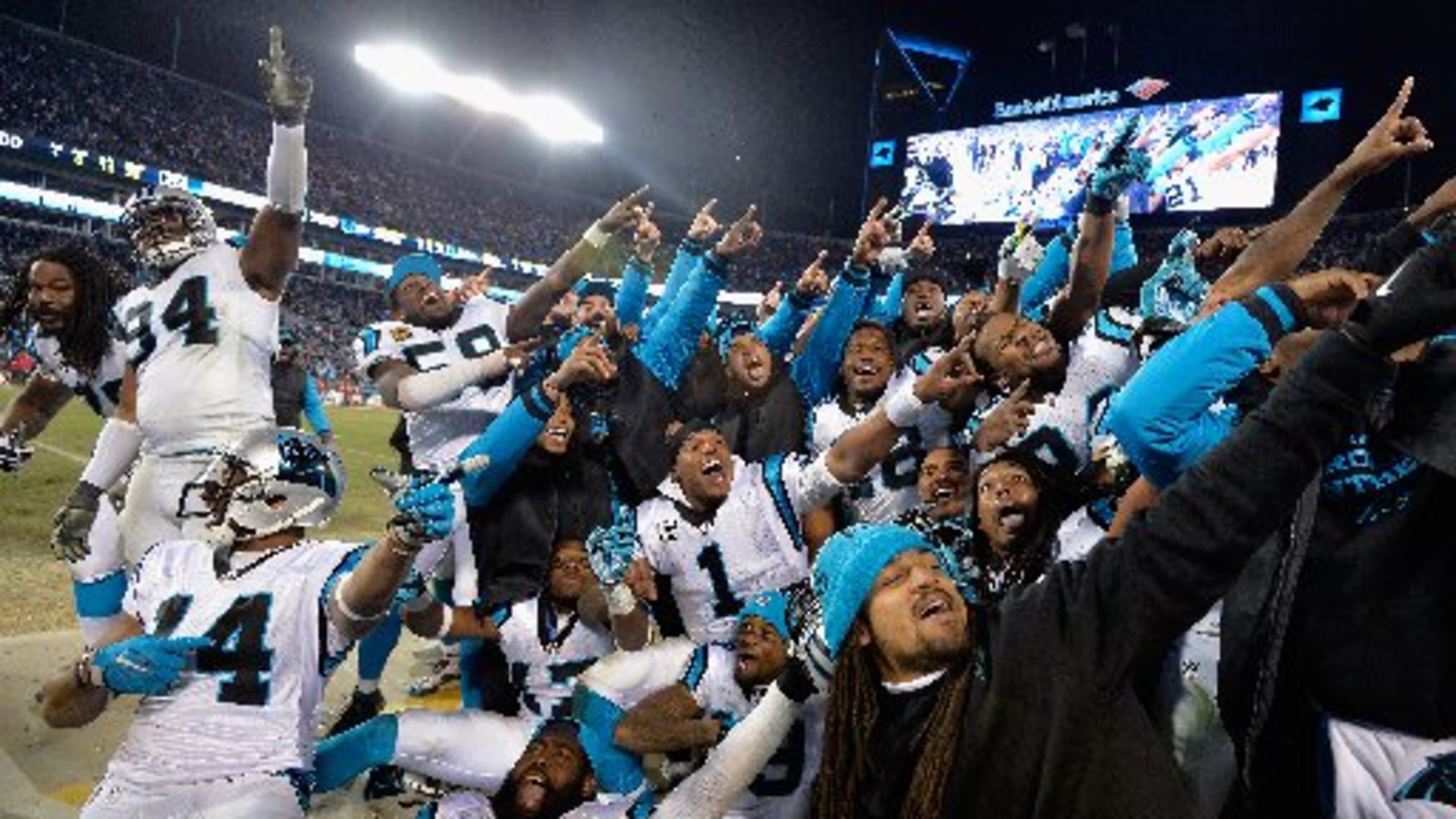 The Panthers are good but they are old. (Grant Halverson/Getty Images)