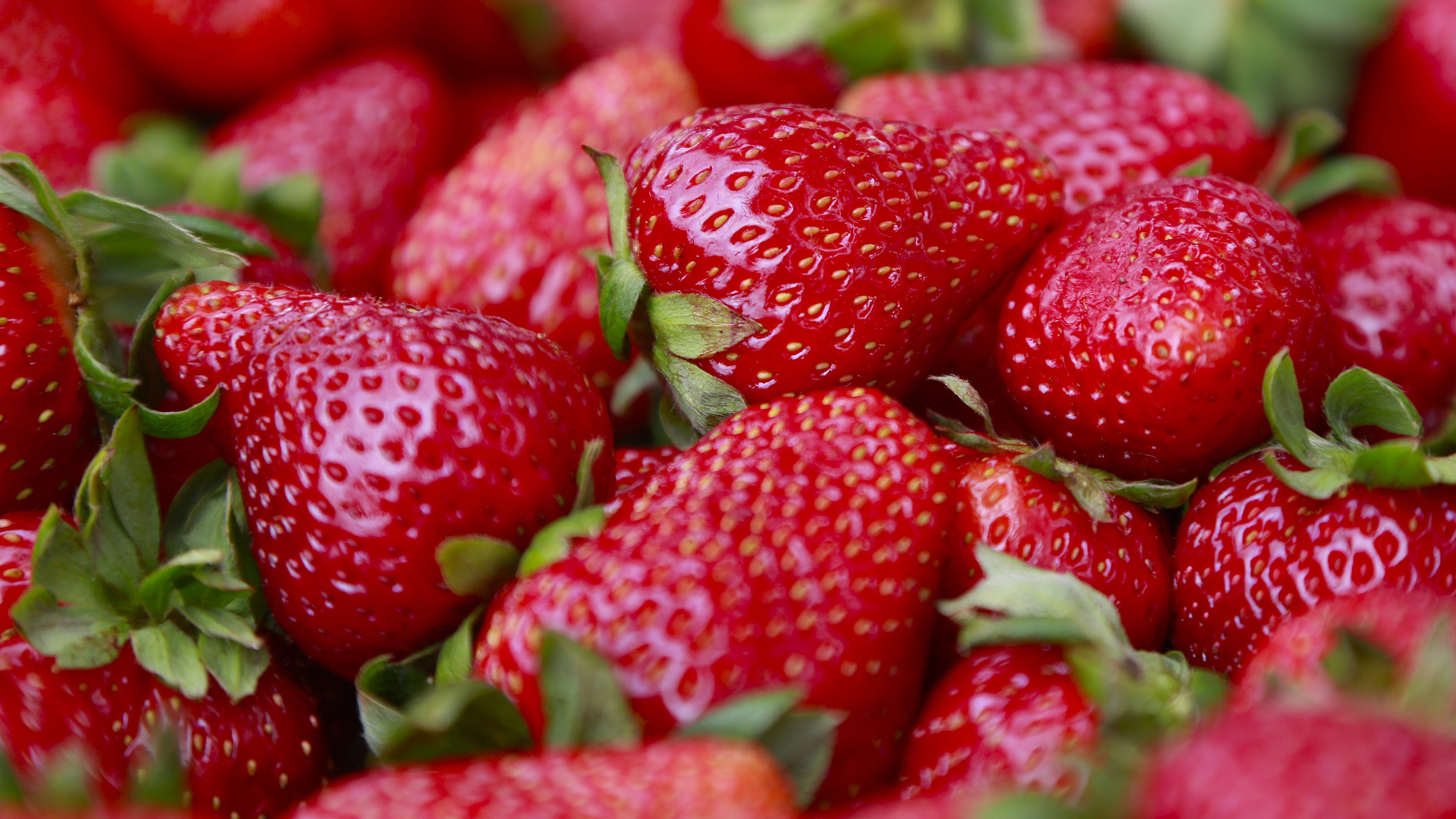 Plant City, Fla., hosts an 11-day strawberry festival every year, helping it get named the "Winter Strawberry Capital of the World." (Nelvin C. Cepeda/San Diego Union-Tribune/TNS)