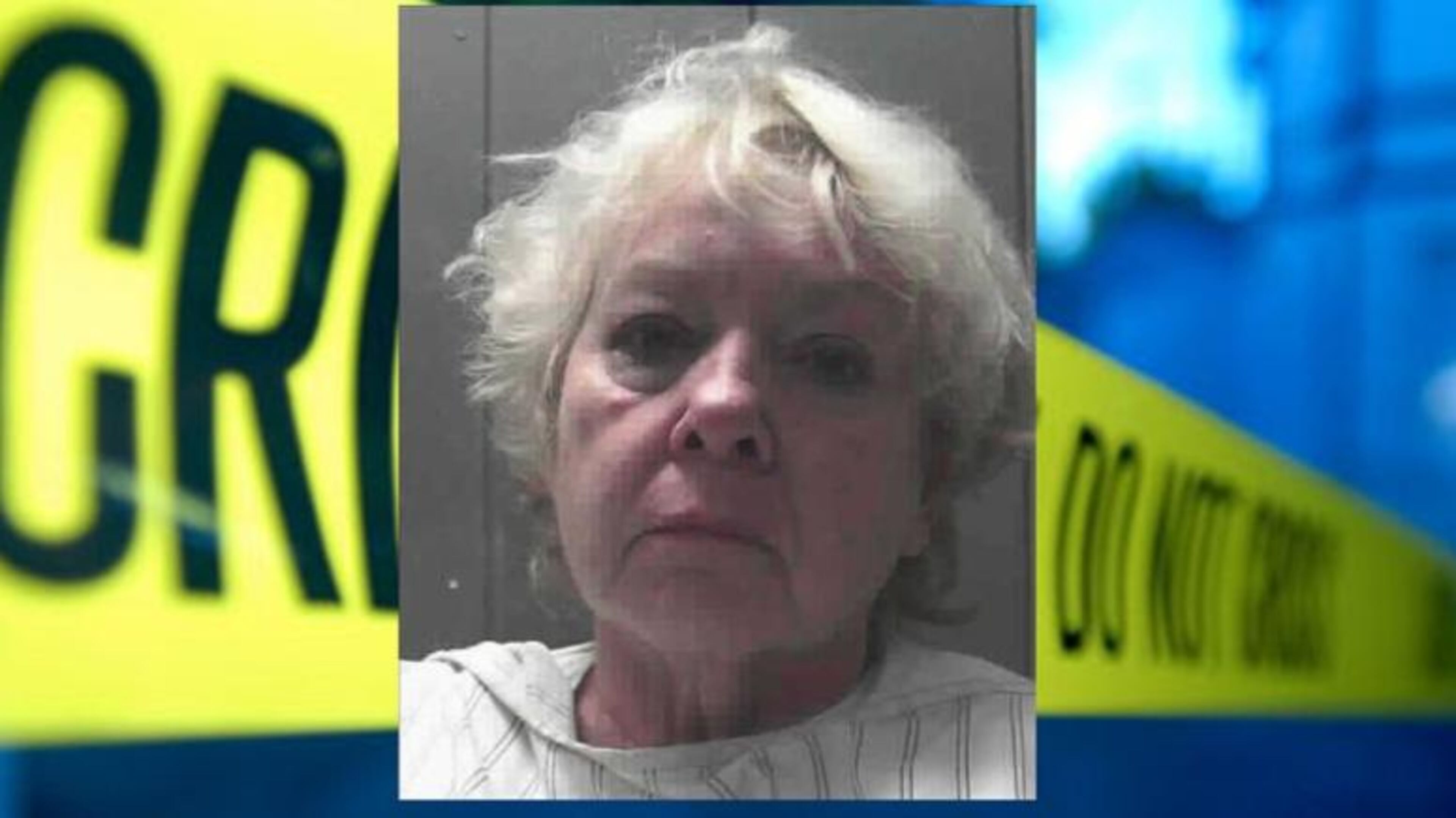 Sandra Adams was sentenced to 10 years in prison and a $2,500 fine after her grandson was killed in a pit bull attack last August at her home in Hartwell, Georgia.