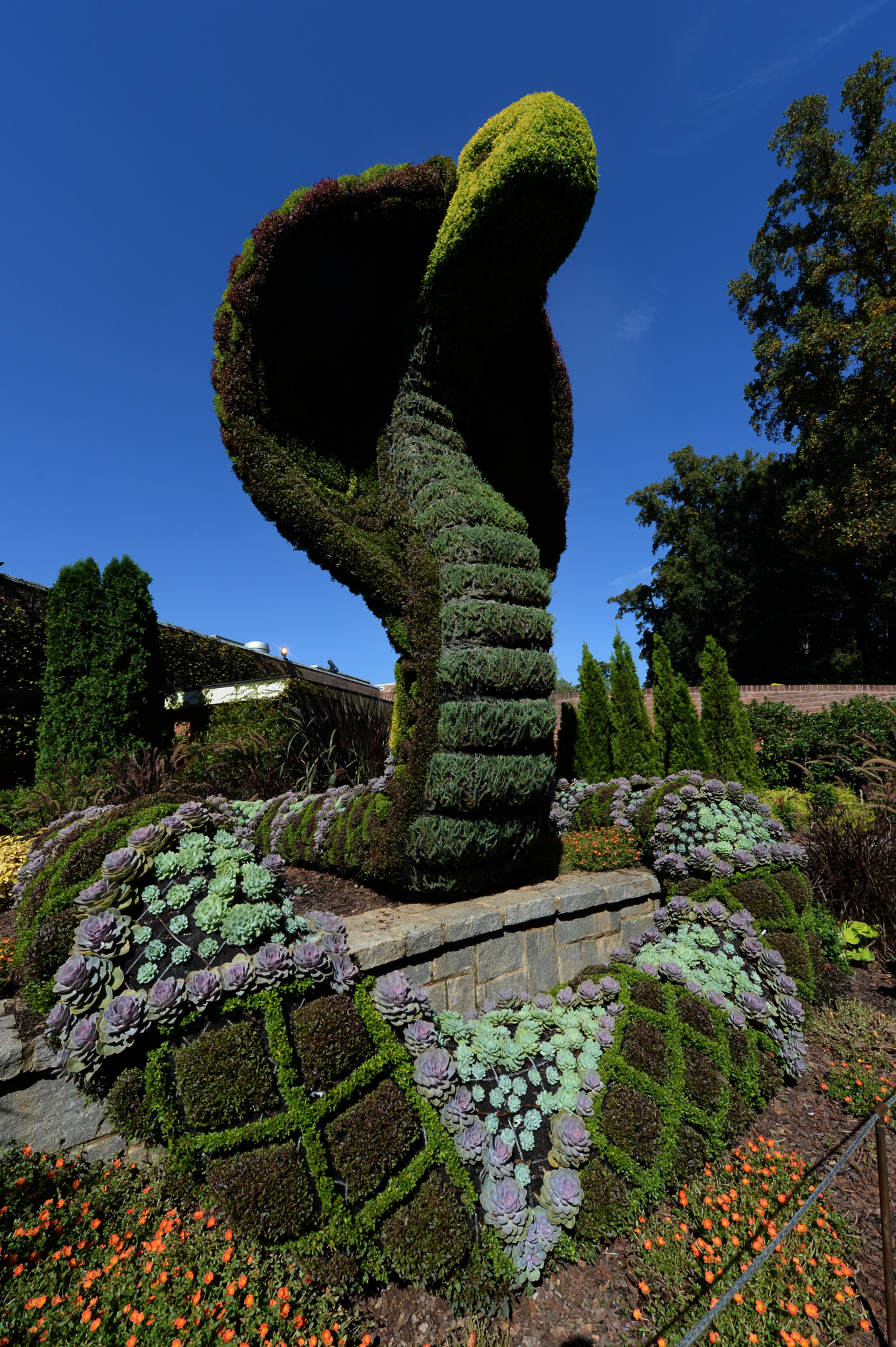 This is one of two cobras inside the Atlanta Botanical Garden on Wednesday, October 2, 2013. This was one of the life plant creatures of Imaginary Worlds that shares the stage with over 125 scarecrows hand crafted by businesses, individuals, schools and organizations. Many of the scarecrows were inspired by the life plants. JOHNNY CRAWFORD / JCRAWFORD@AJC.COM JOHNNY CRAWFORD / JCRAWFORD@AJC.COM