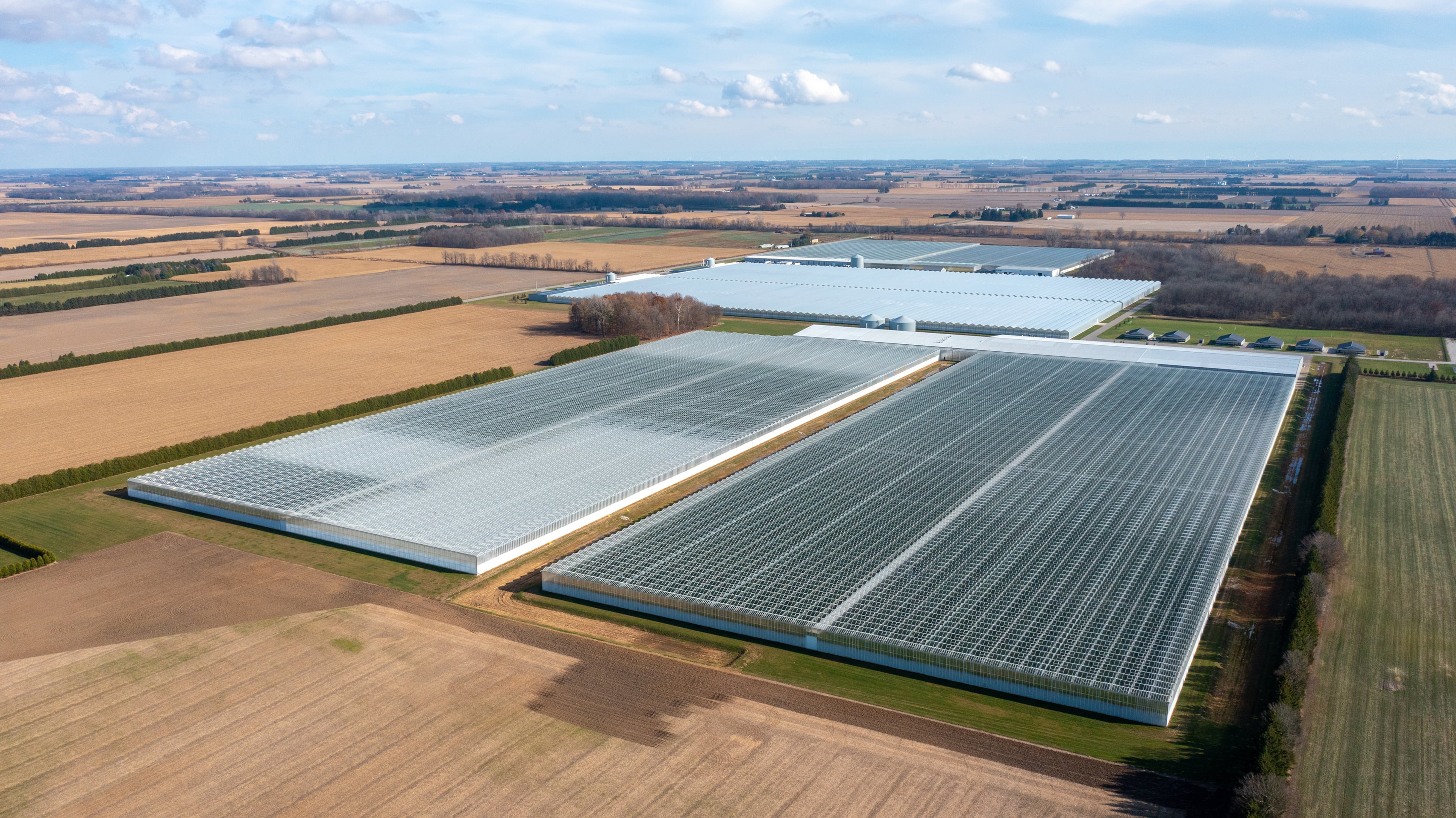 Cox Farms, the indoor agriculture business of Cox Enterprises, bought this large greenhouse operation from Greenhill Produce in Ontario, Canadam in 2024. Courtesy of Cox Enterprises.