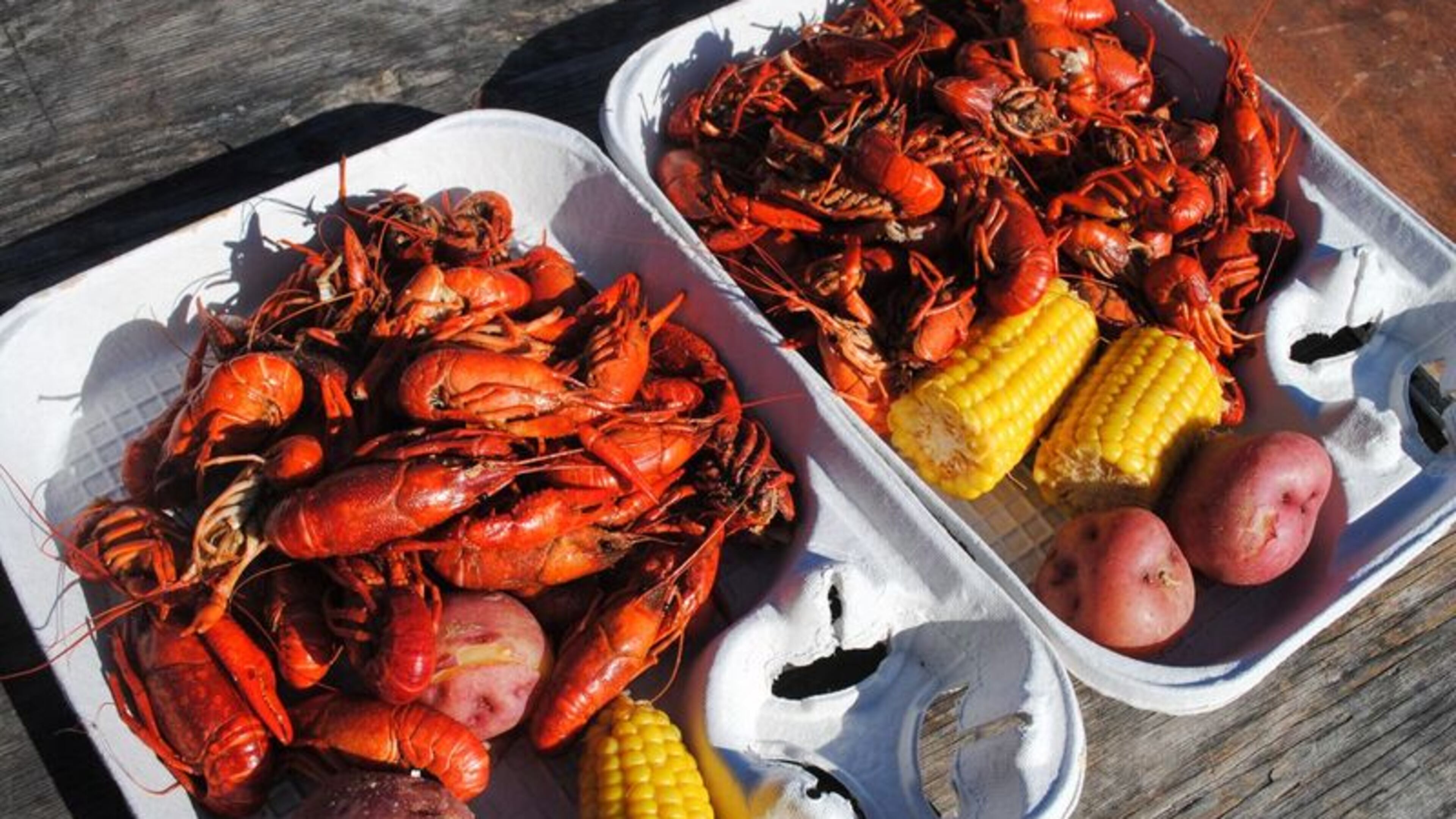 Head to Piedmont Park for Park Tavern's annual oyster crawfish festival. HANDOUT / Caren West PR.