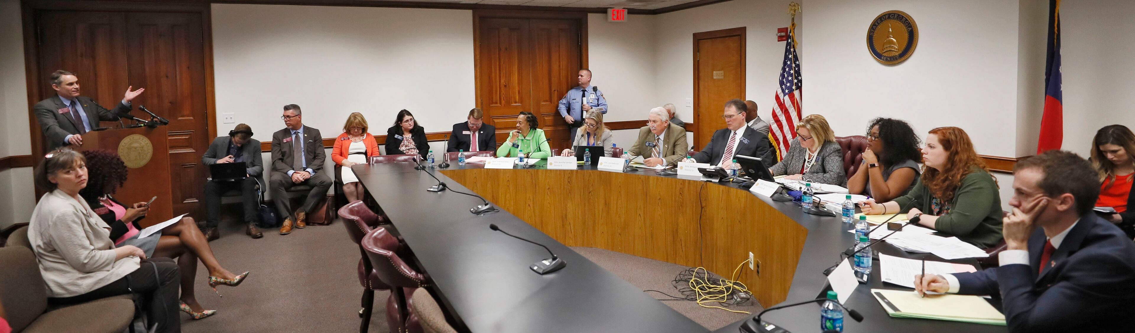 March 14, 2019 - Atlanta - Rep. Ed Setzler (far left), R - Acworth, presents the bill. A Senate hearing was held Thursday for the "fetal heartbeat bill." Advocates on both sides are expected to fill the Capitol as the committee debates the bill that would outlaw most abortions after six weeks. Bob Andres / bandres@ajc.com