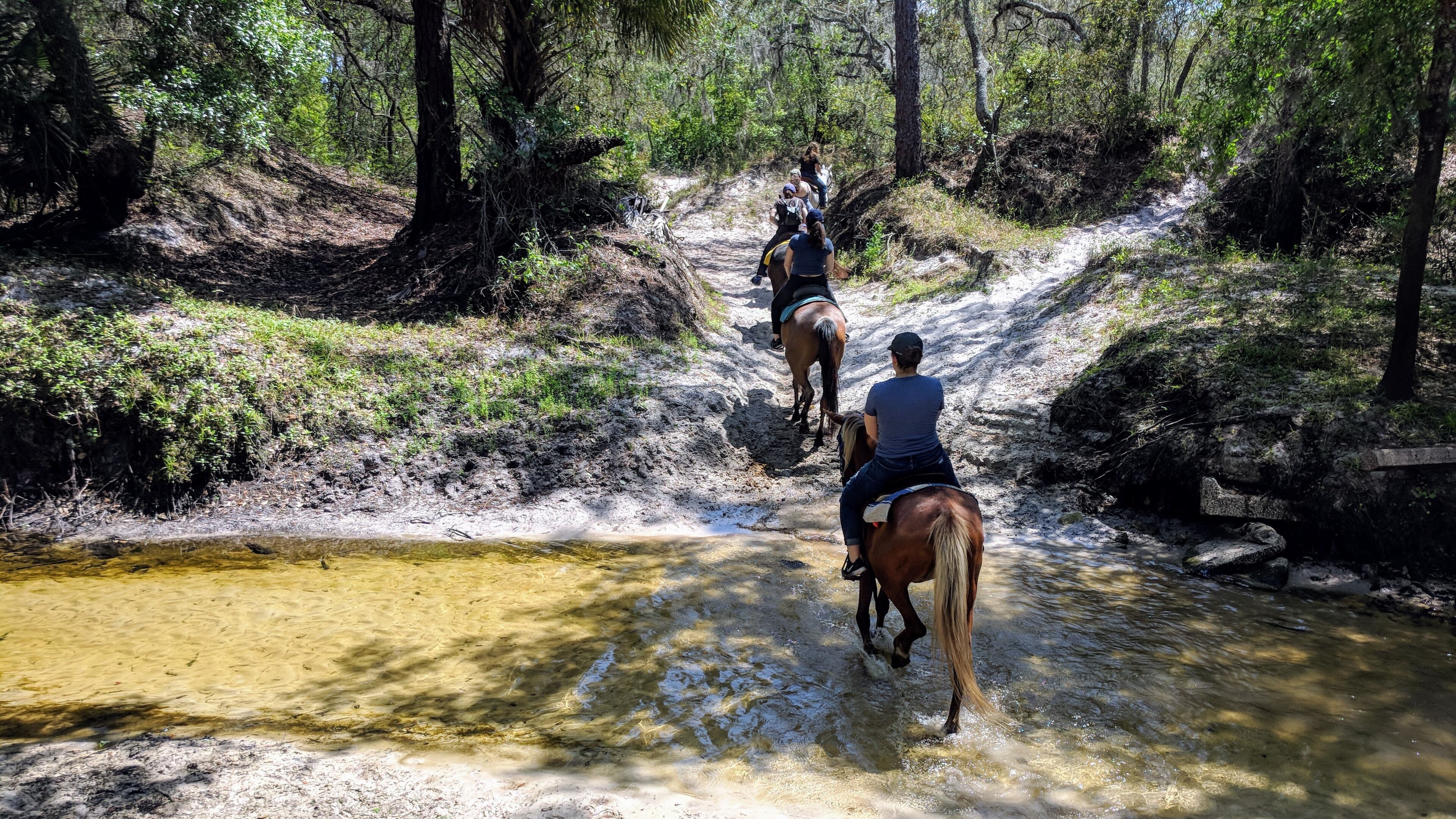 In The Breeze Ranch in suburban Hillsborough County, Fla., offers trail rides for all levels of rider, plus swimming with horses, horse camp, parties and more. (Tiffini Theisen/Orlando Sentinel/TNS)