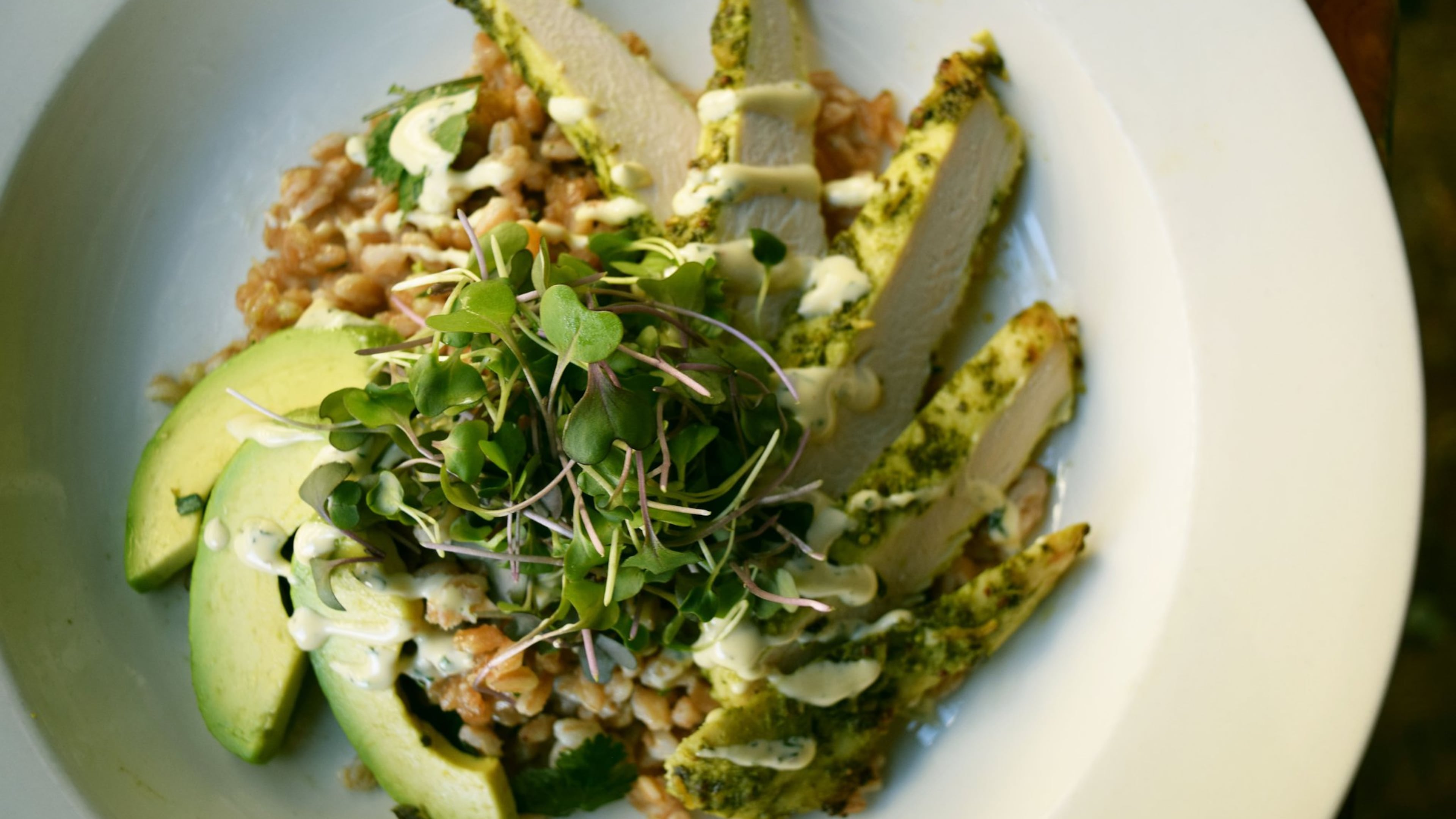 Ryan Burke’s Green Grain Bowl includes farro, pesto-coated chicken, avocado slices, Green Garlic Aioli and a garnish of kale microgreens. CONTRIBUTED BY TORI ALLEN PR