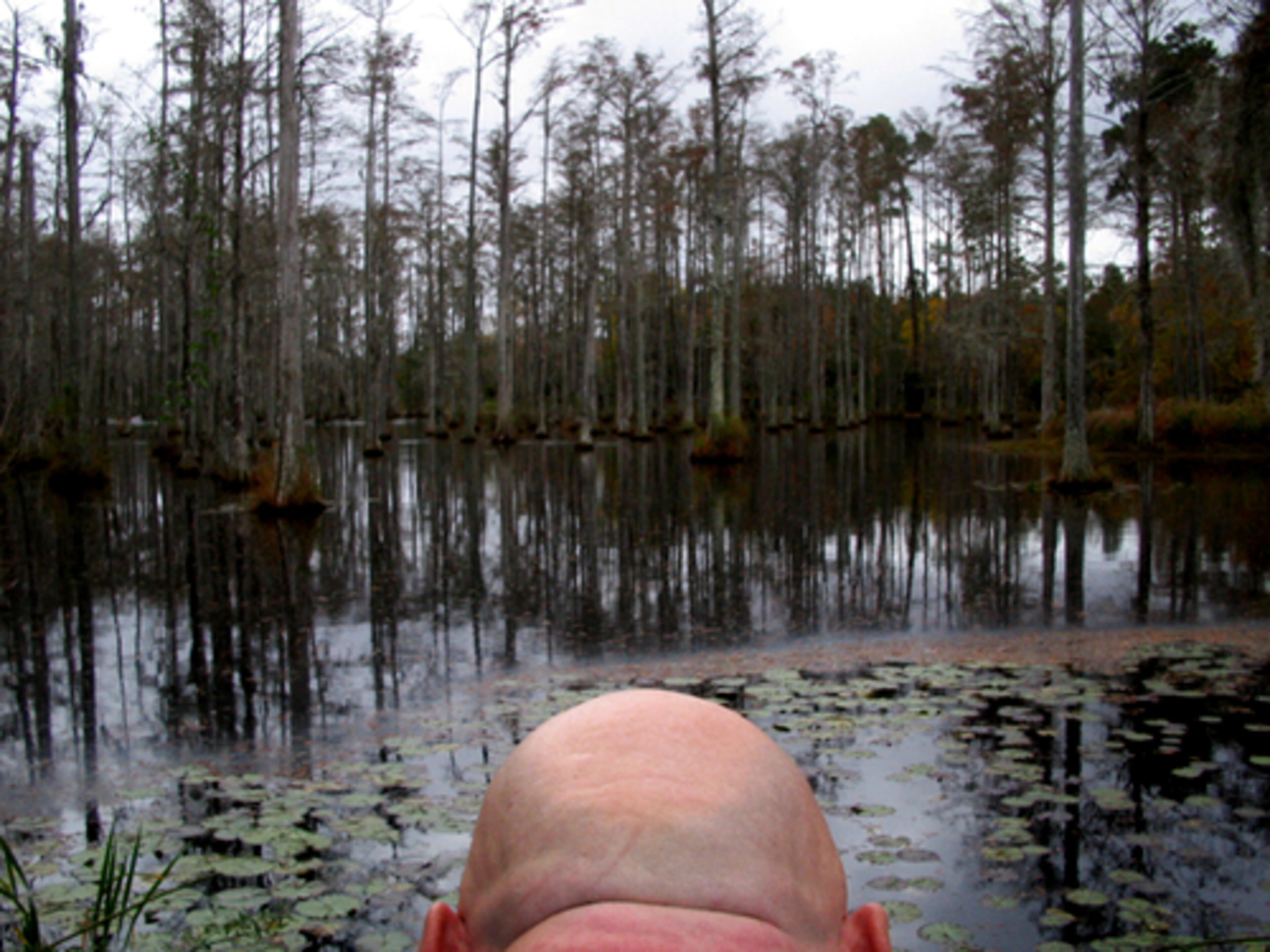 "Cypress Gardens, Conyers, GA"