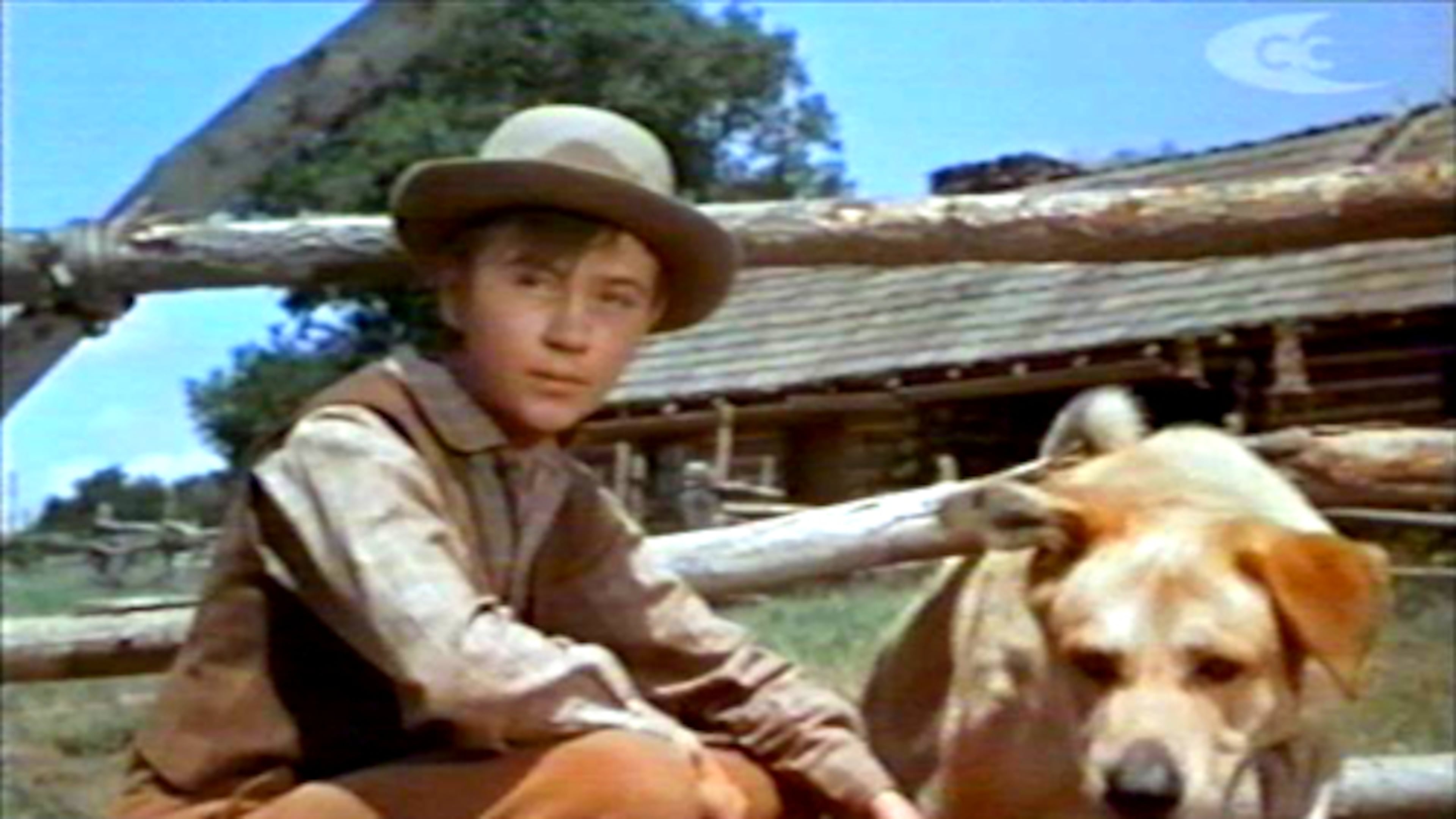 Tommy Kirk, a child star who played in Disney films such as “Old Yeller” and “The Shaggy Dog,” has died. He was 79.