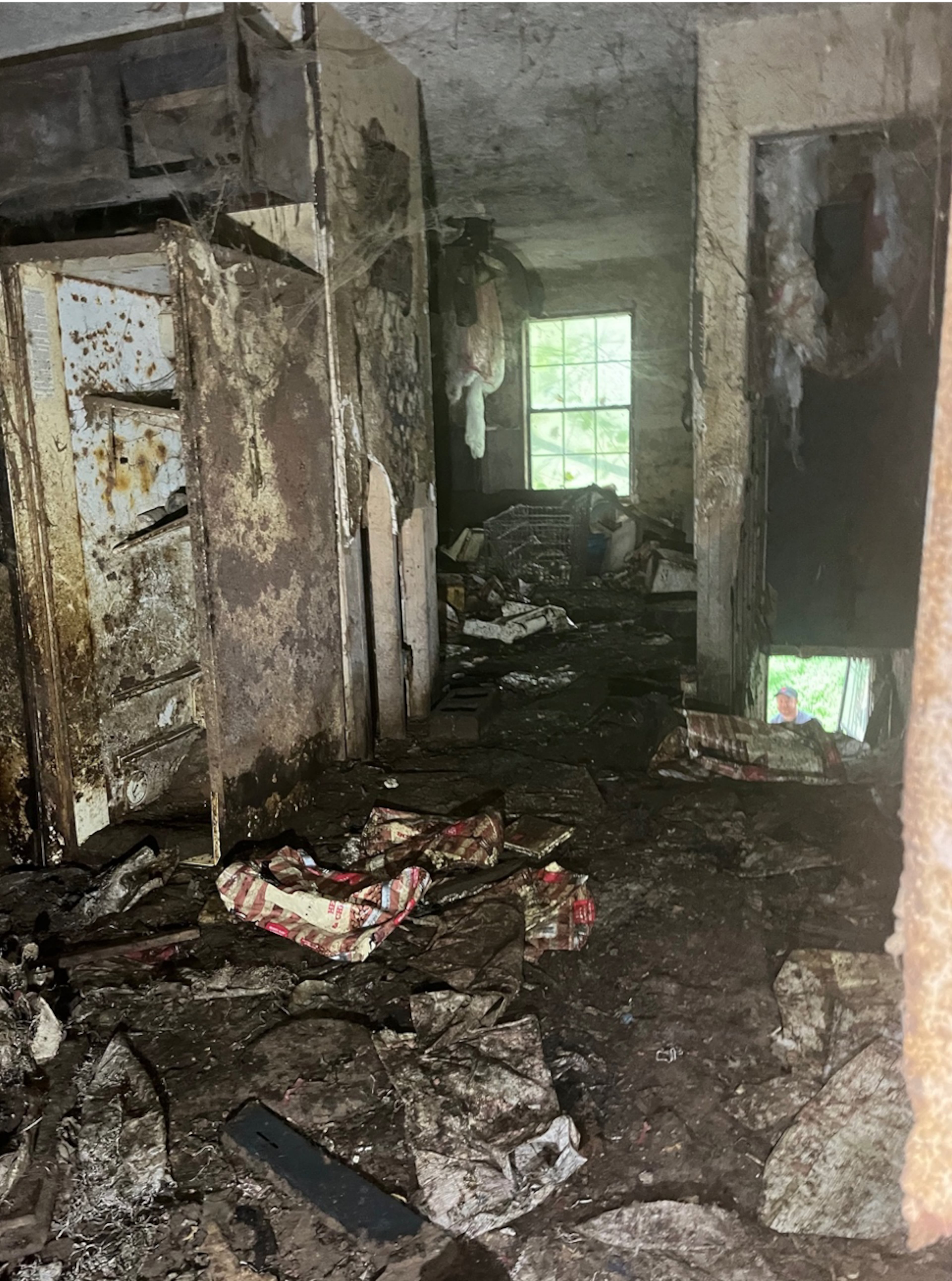 Multiple animals were found living in an abandon structure on a property in Trenton. (Georgia Department of Agriculture photo)