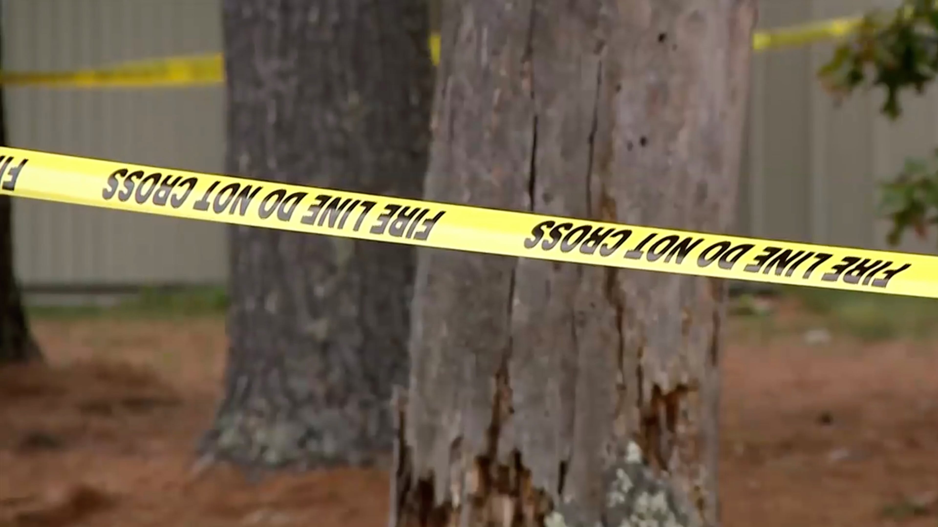 In this image taken from WISN video the wooded area around a fatal plane crash is cordoned off Wednesday, Oct. 14, 2026, near Mirror Lake State Park, Wis. (WISN via AP)