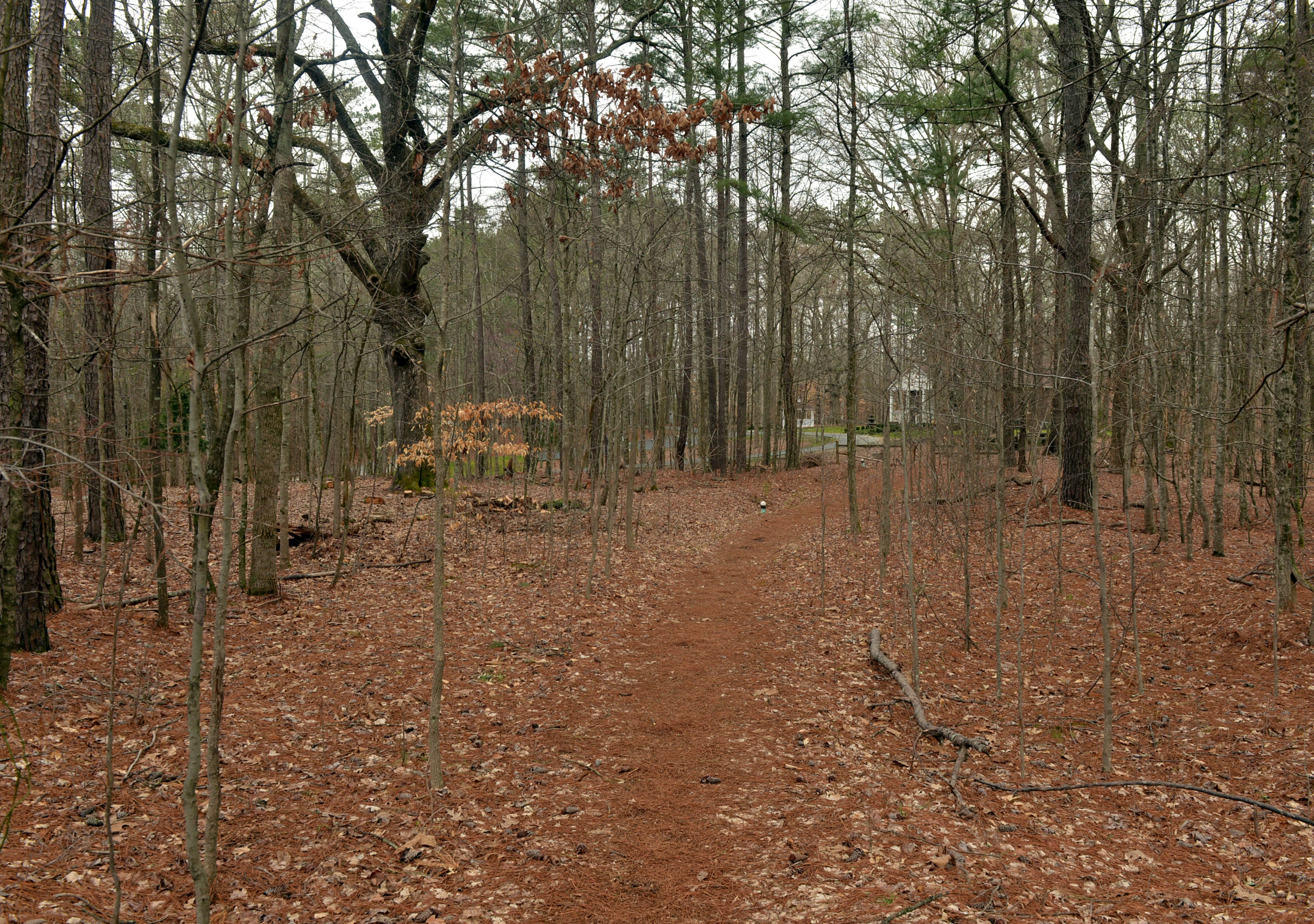 A trail winds through the Simpsonwood lodge/retreat center property towards the Chattahoochee River. KENT D. JOHNSON / KDJOHNSON@AJC.COM