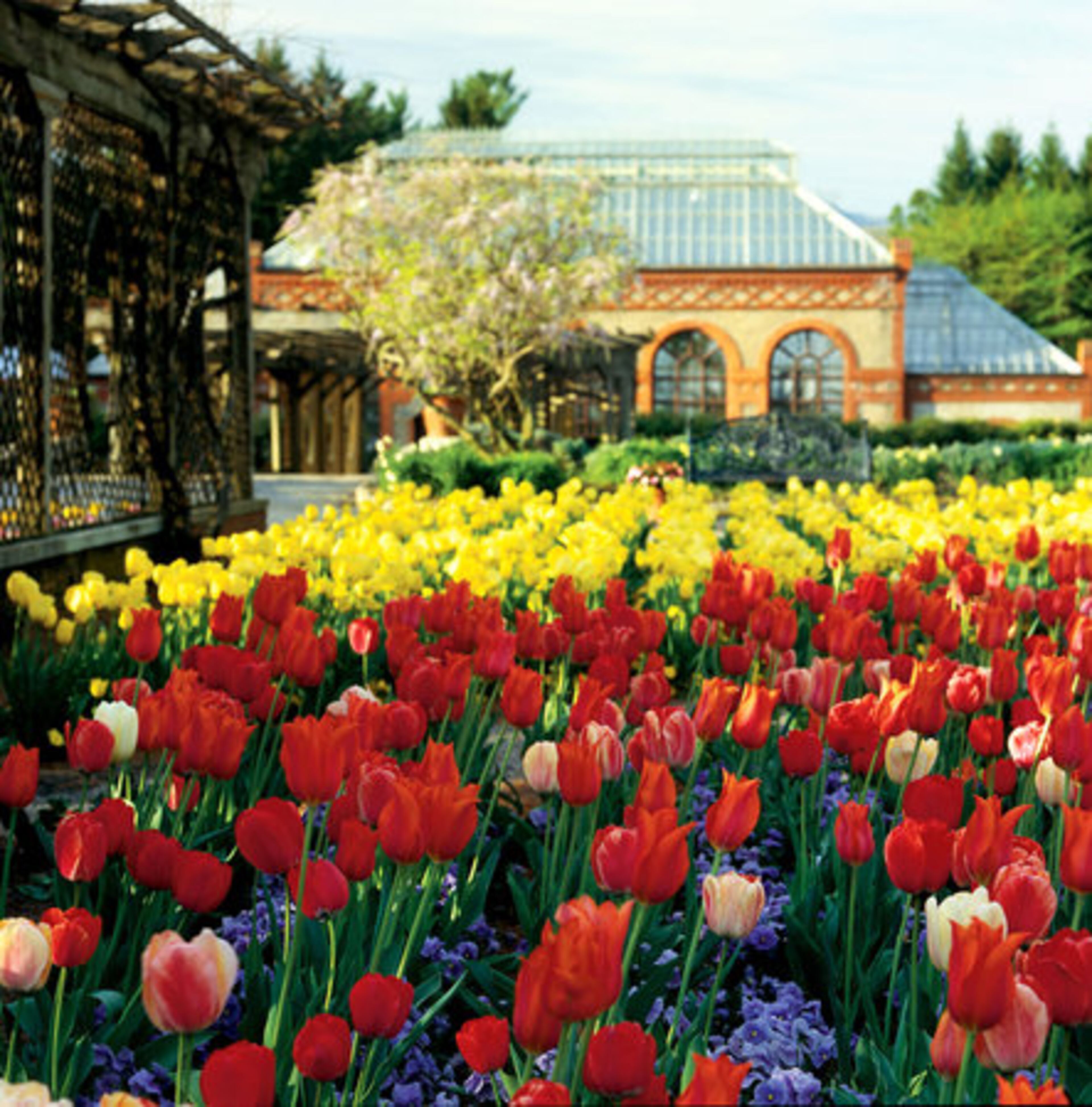 Cross the state line to enjoy the Biltmore's annual Festival of Flowers. The Asheville N.C. landmark and tourist attraction is ablaze with hundreds of colorful blooms, both inside the home and in the surrounding garden areas of the estate. The event runs from early April through mid-May.