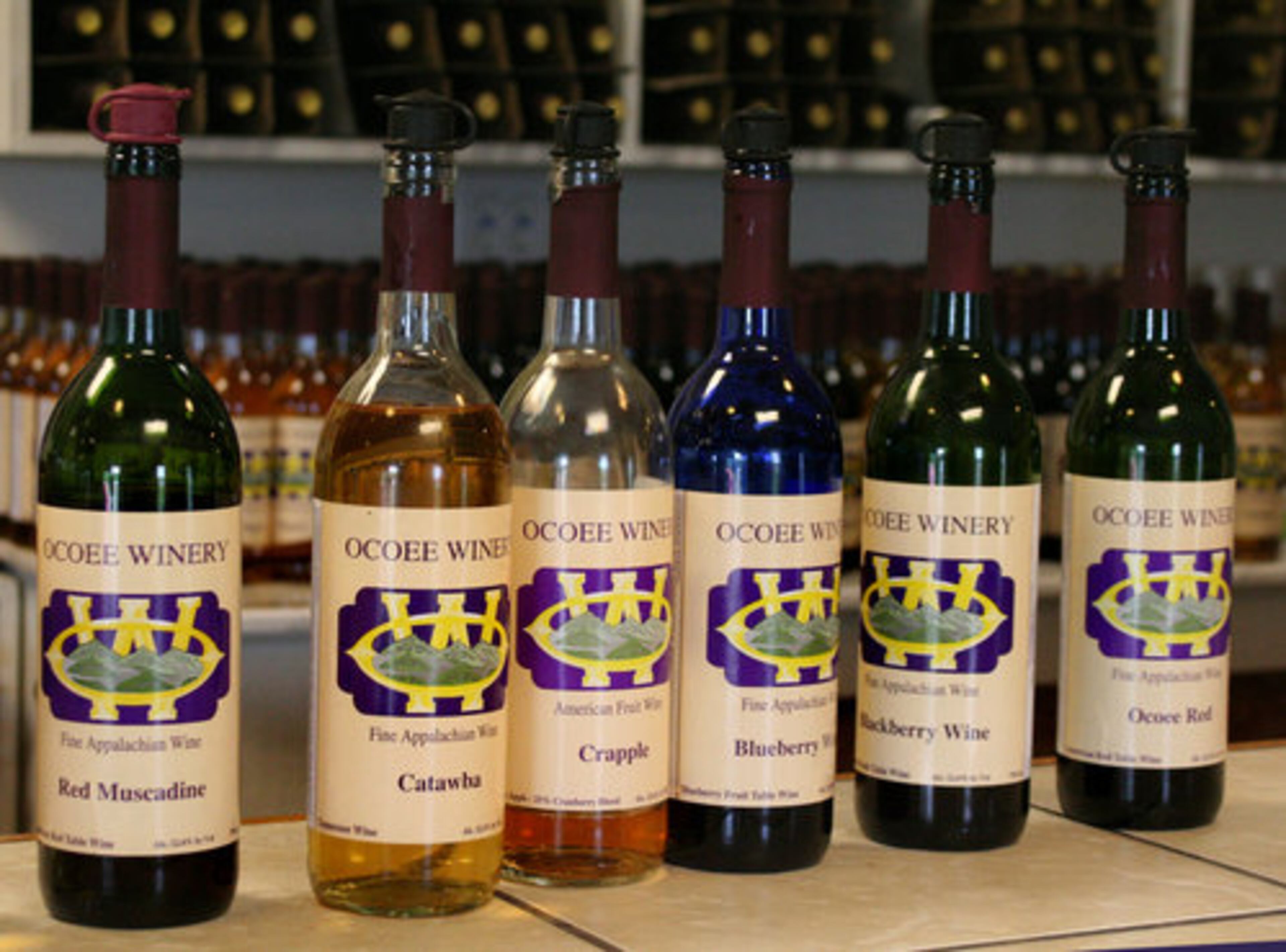 Ocoee Winery owner Steve Hunt makes about 5,000 gallons of wine a year.