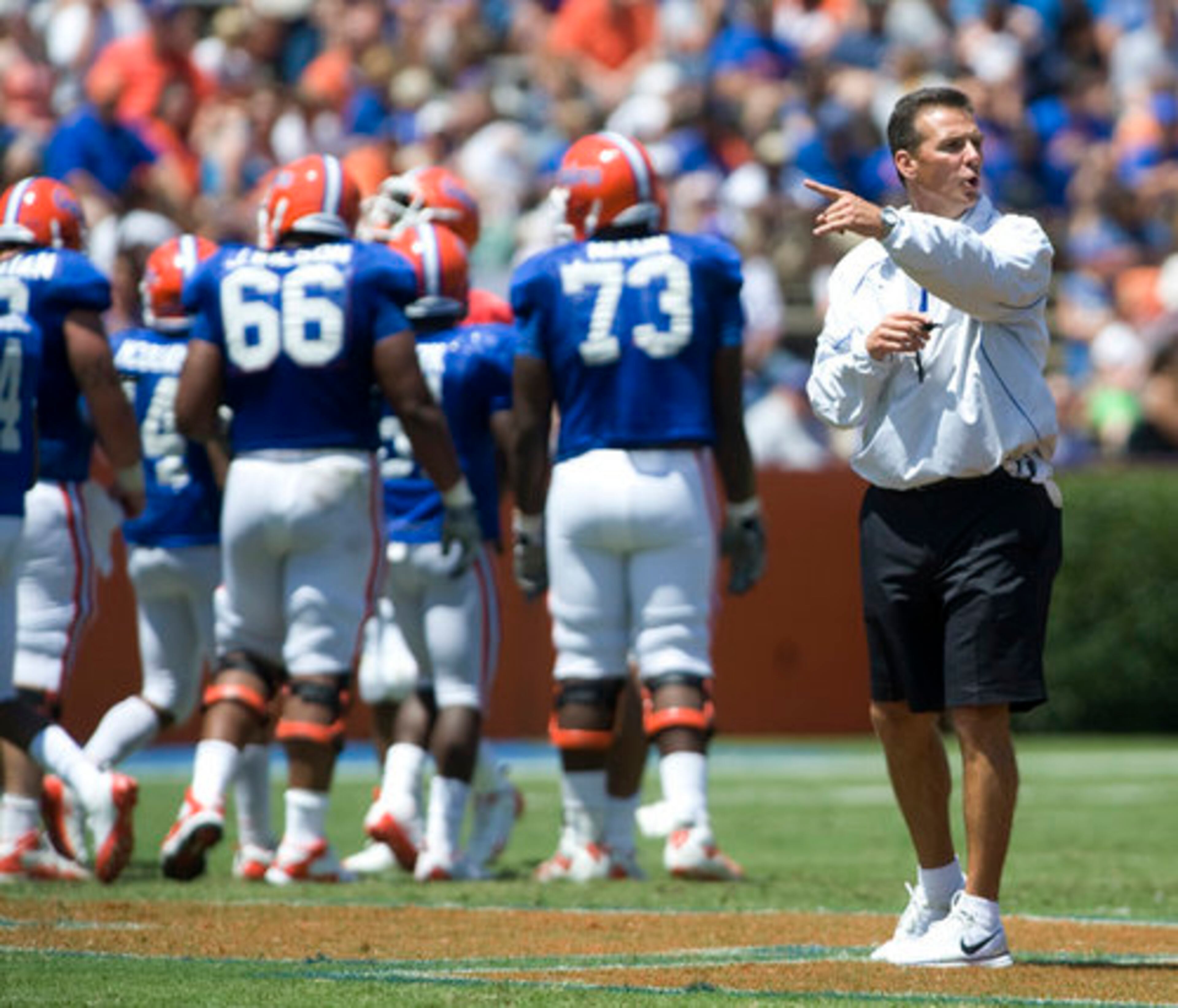 FLORIDA GATORS: 12/1