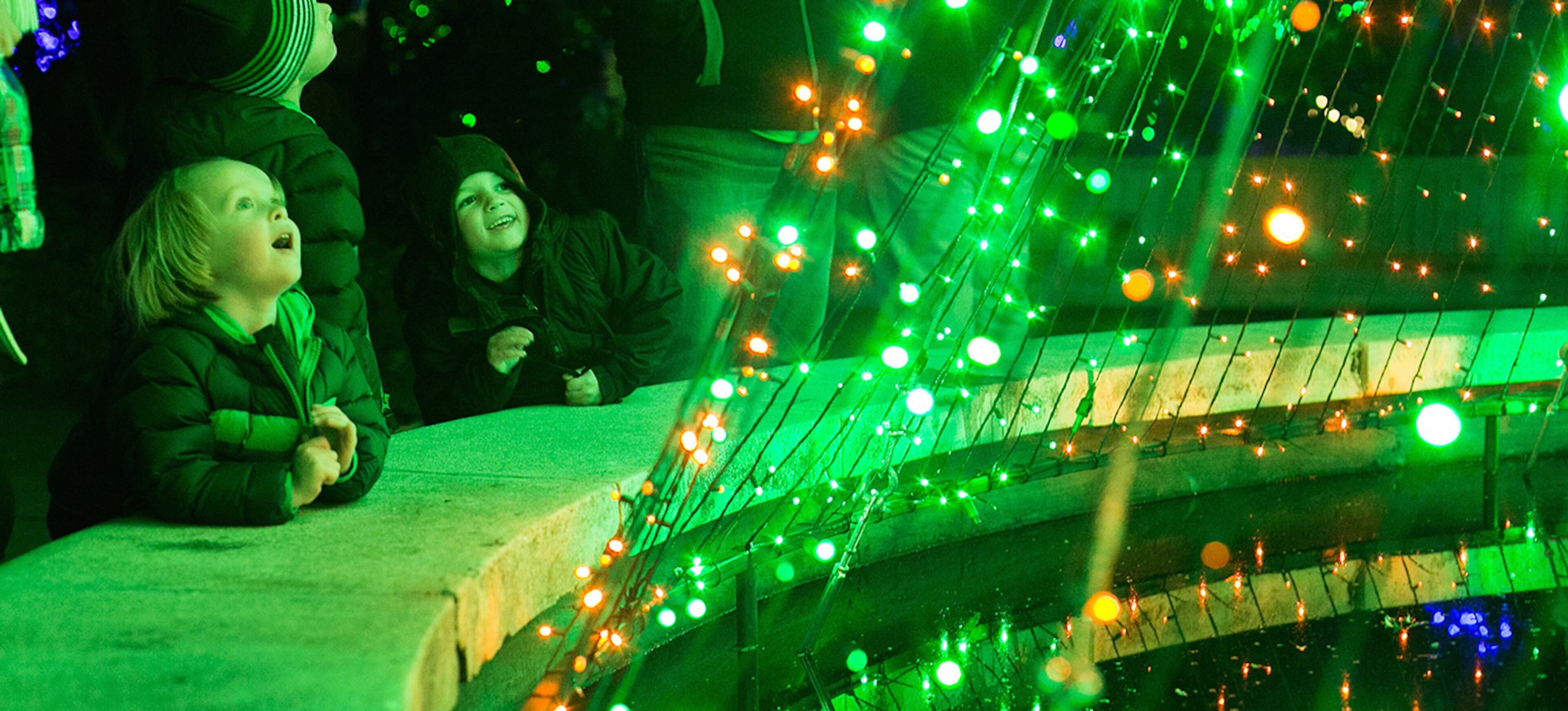 Atlanta Botanical Gardens Garden Lights event Friday night in Atlanta December 12, 2014. Photo by / JASON GETZ