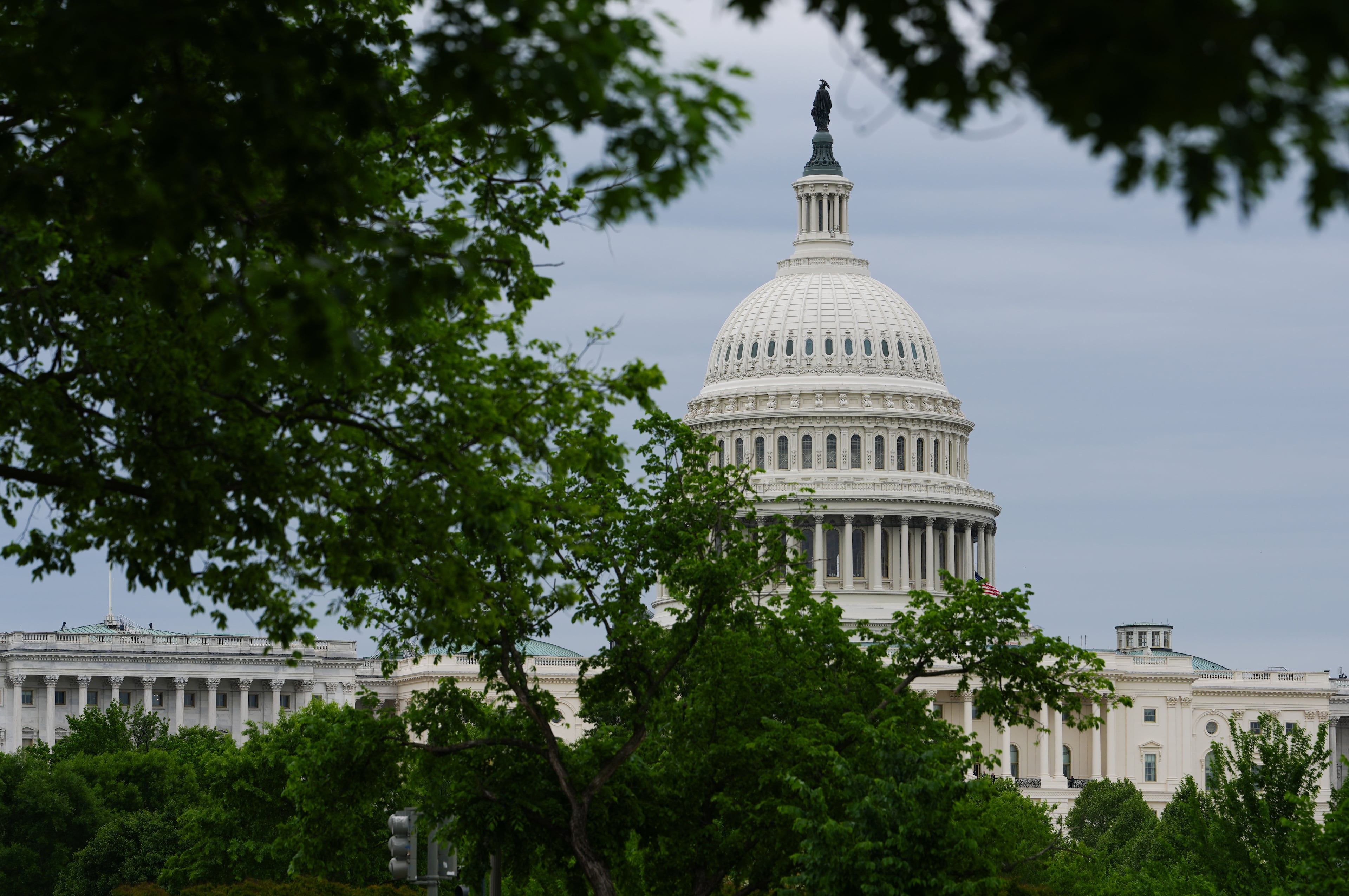 Congress