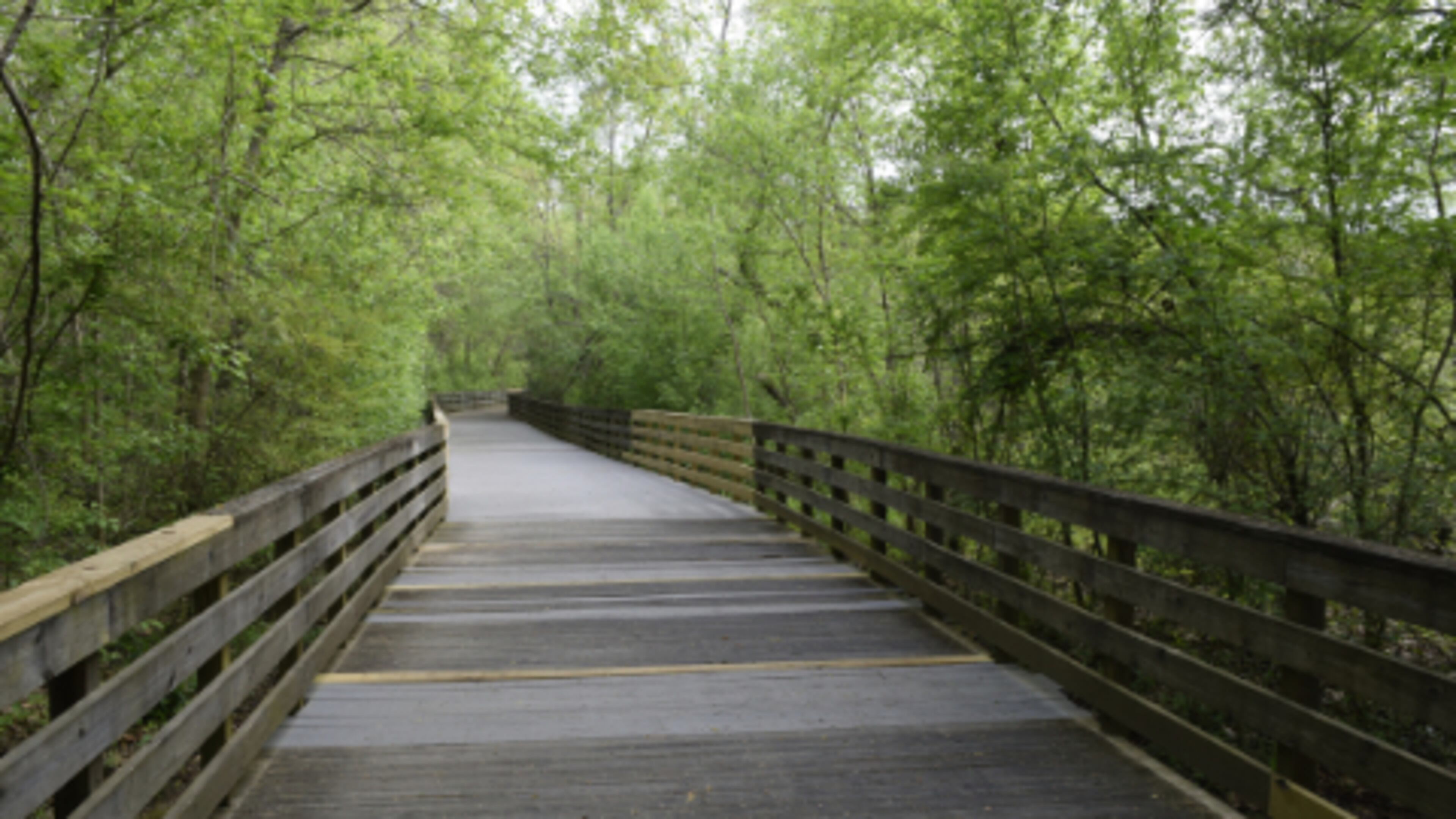A section of the Big Creek Park boardwalk that was closed to replace multiple sections of joists and decking reopens May 4. (Courtesy City of Roswell)