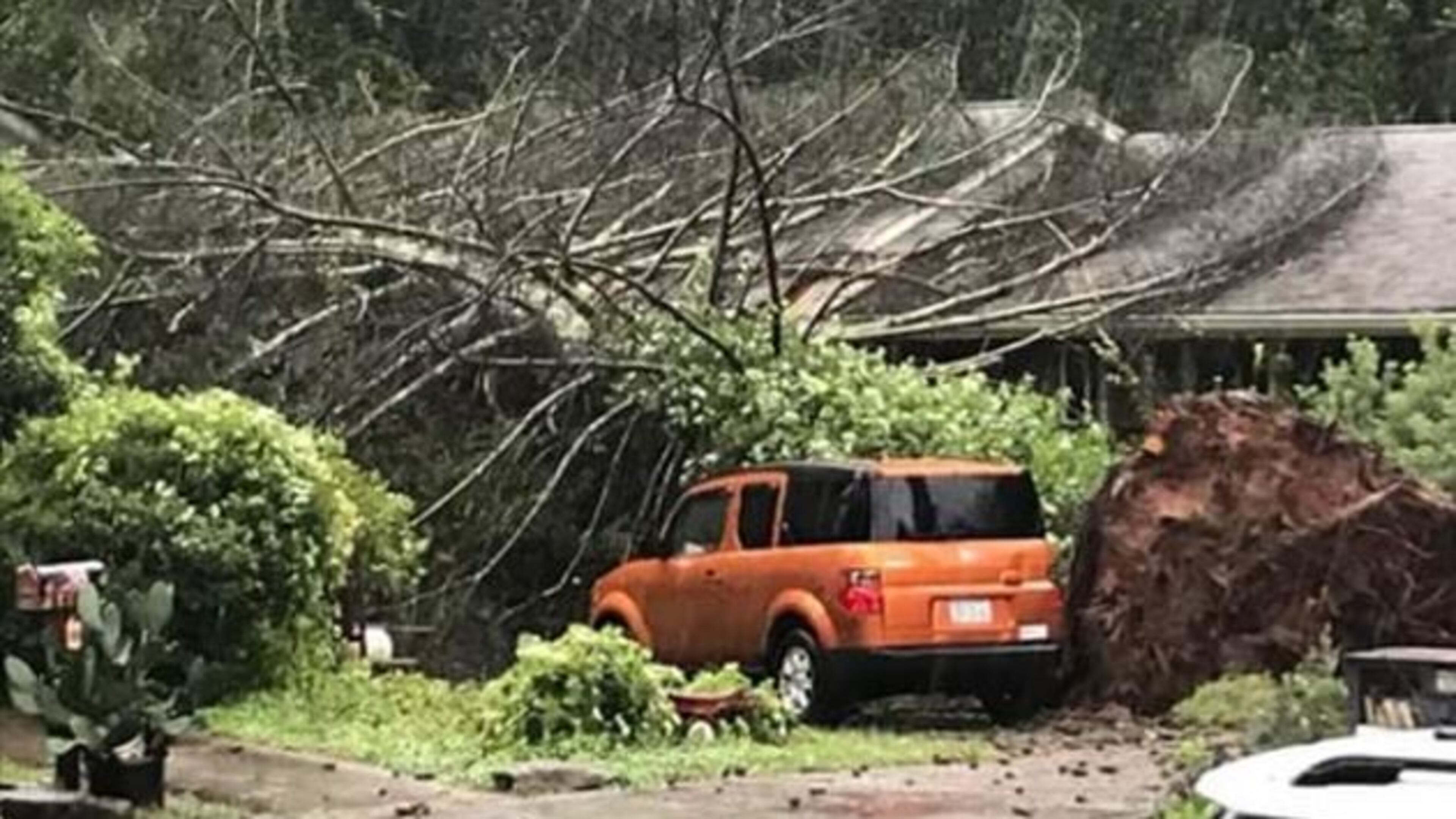 A tree fell on Michelle Hiskey’s house on Clairmont Road in DeKalb County on Monday during Tropical Storm Irma. (Credit: Chris Srubas)