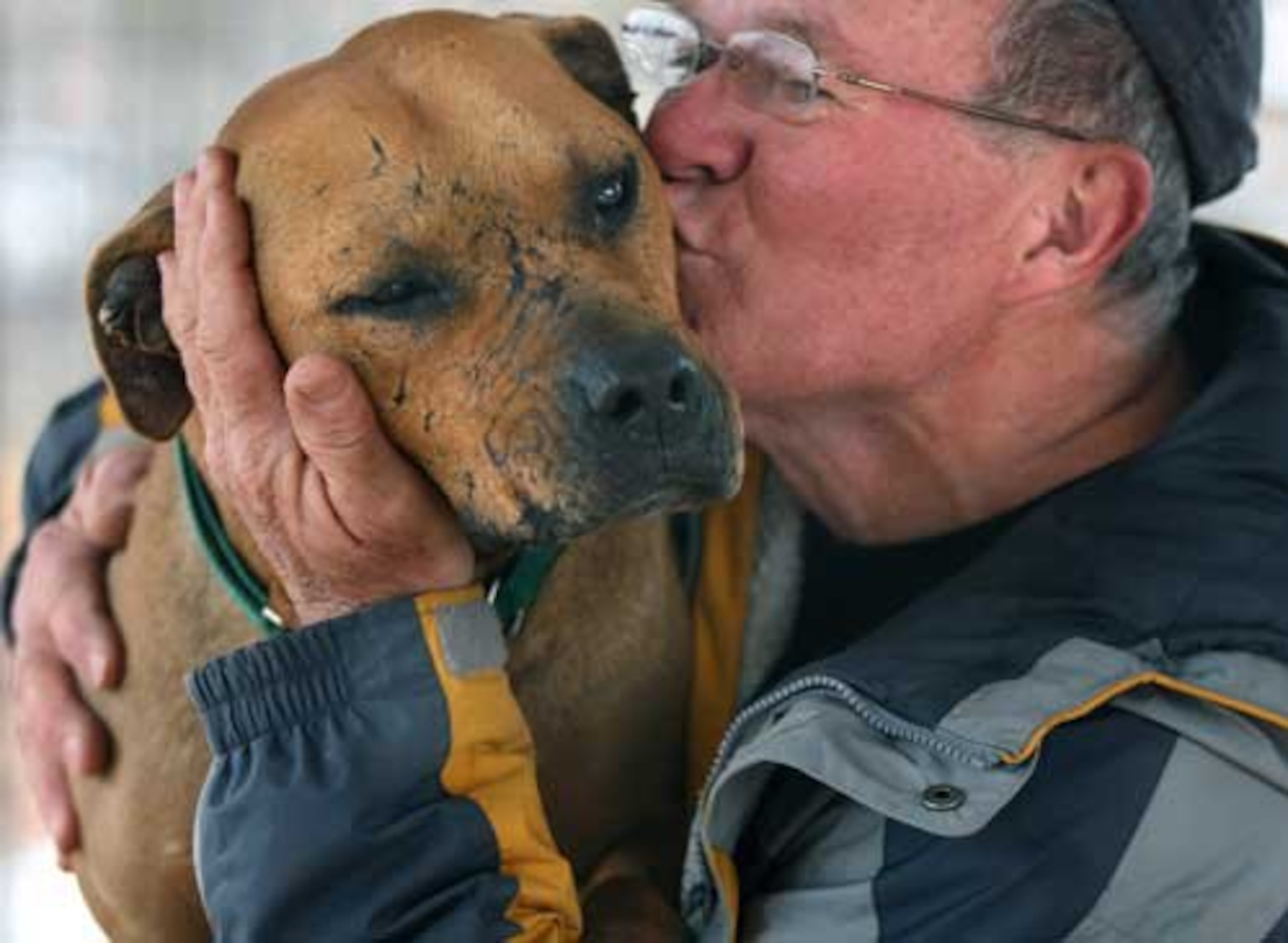 When former Atlanta Falcons quarterback Michael Vick pleaded guilty last year to conspiring to run a dogfighting operation, he had kept about 50 pit bulls on his 15-acre property in rural Surry County, Va. Some animal rights groups called for the dogs to be euthanized. But a court gave dogs such as Lucas a second chance. Now he lives at the Best Friends Animal Society's sanctuary in Kanab, Utah.