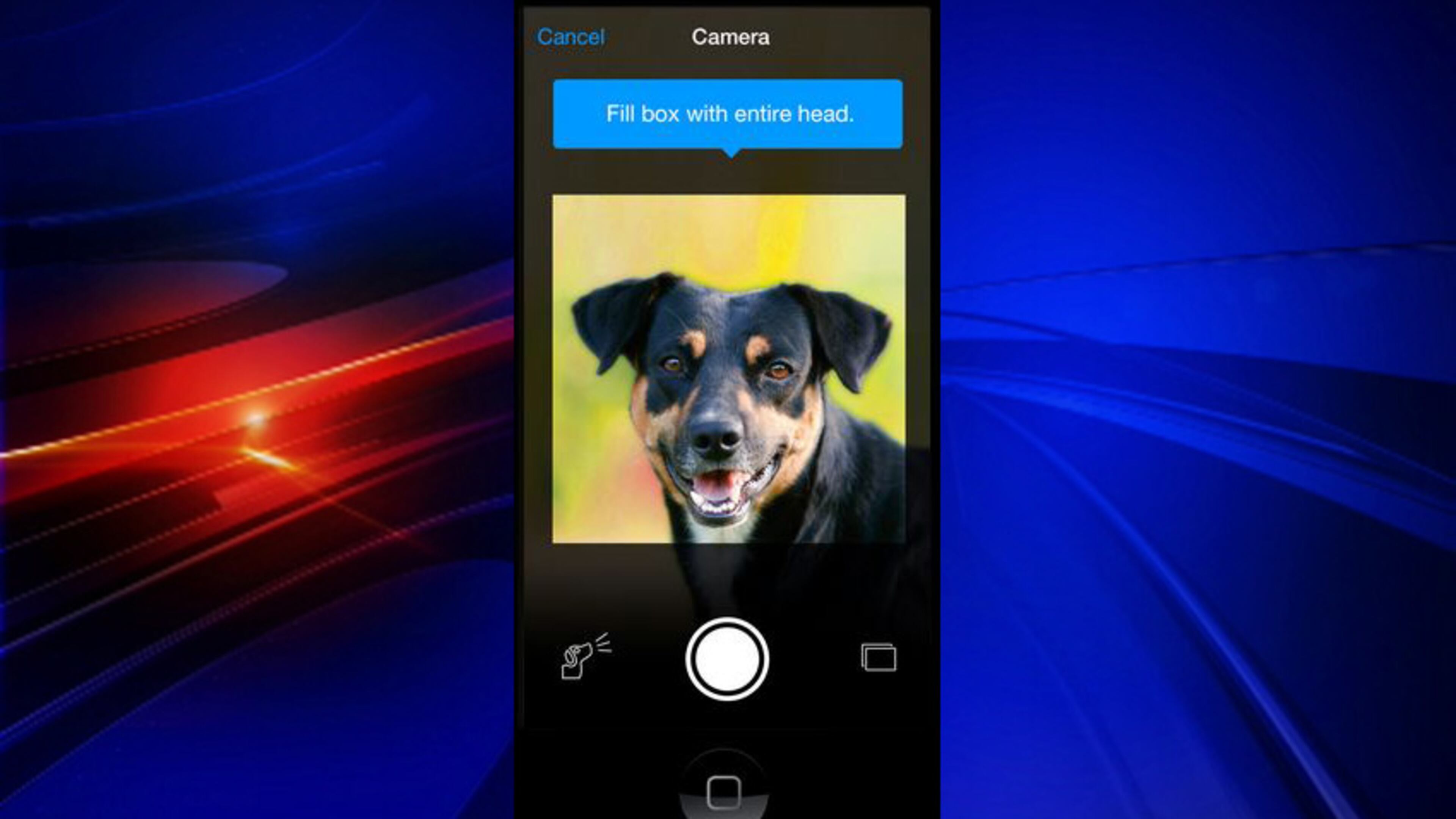 There's a free app called Finding Rover that allows you to scan your dog's face and save it in a database in case the pet ever gets lost.