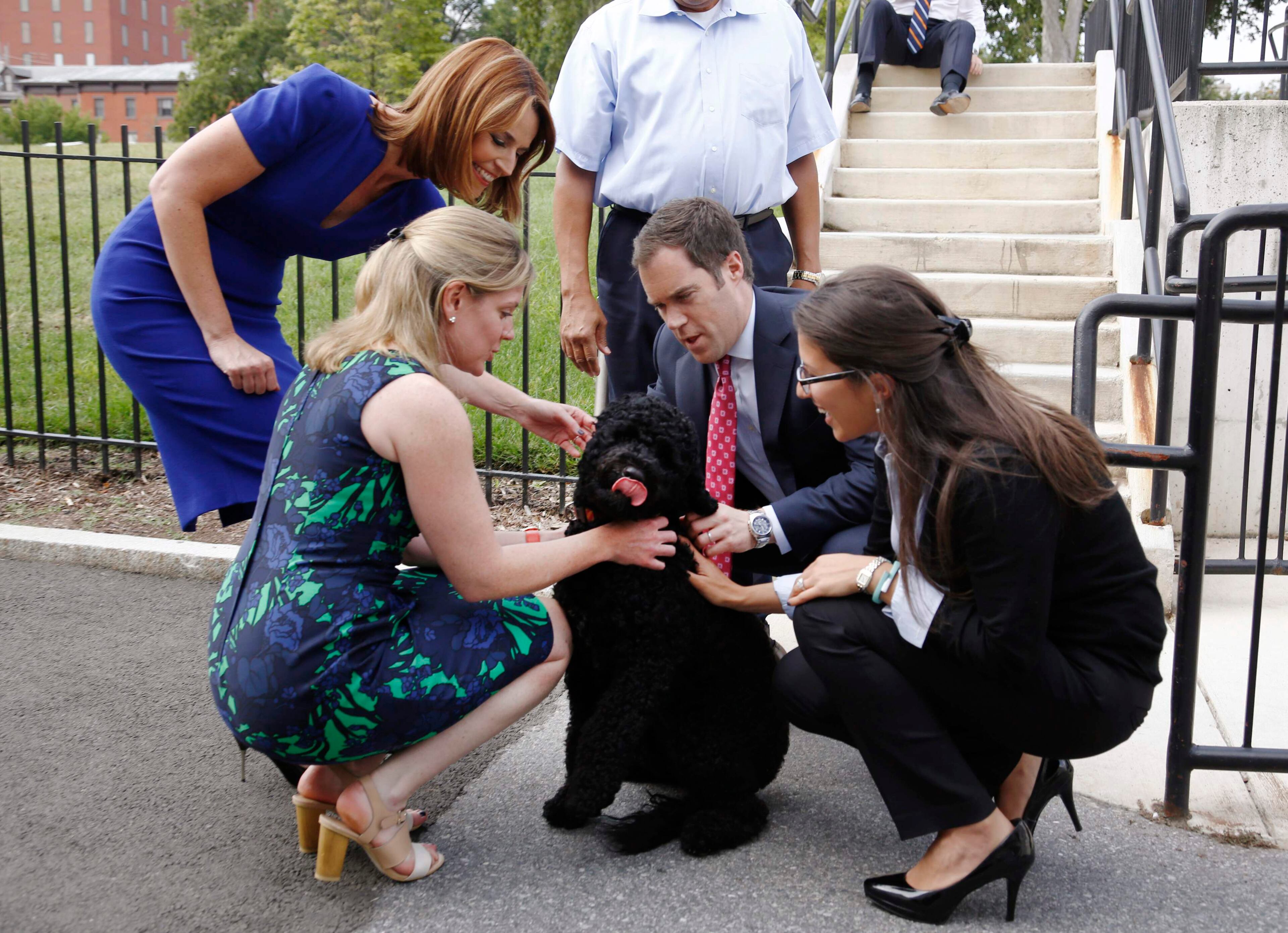 Sunny, the new 1-year-old Portuguese water dog at the Obama White House, is pictured with members of the White House press corps she walks the grounds of the White House in Washington, September 9, 2013.