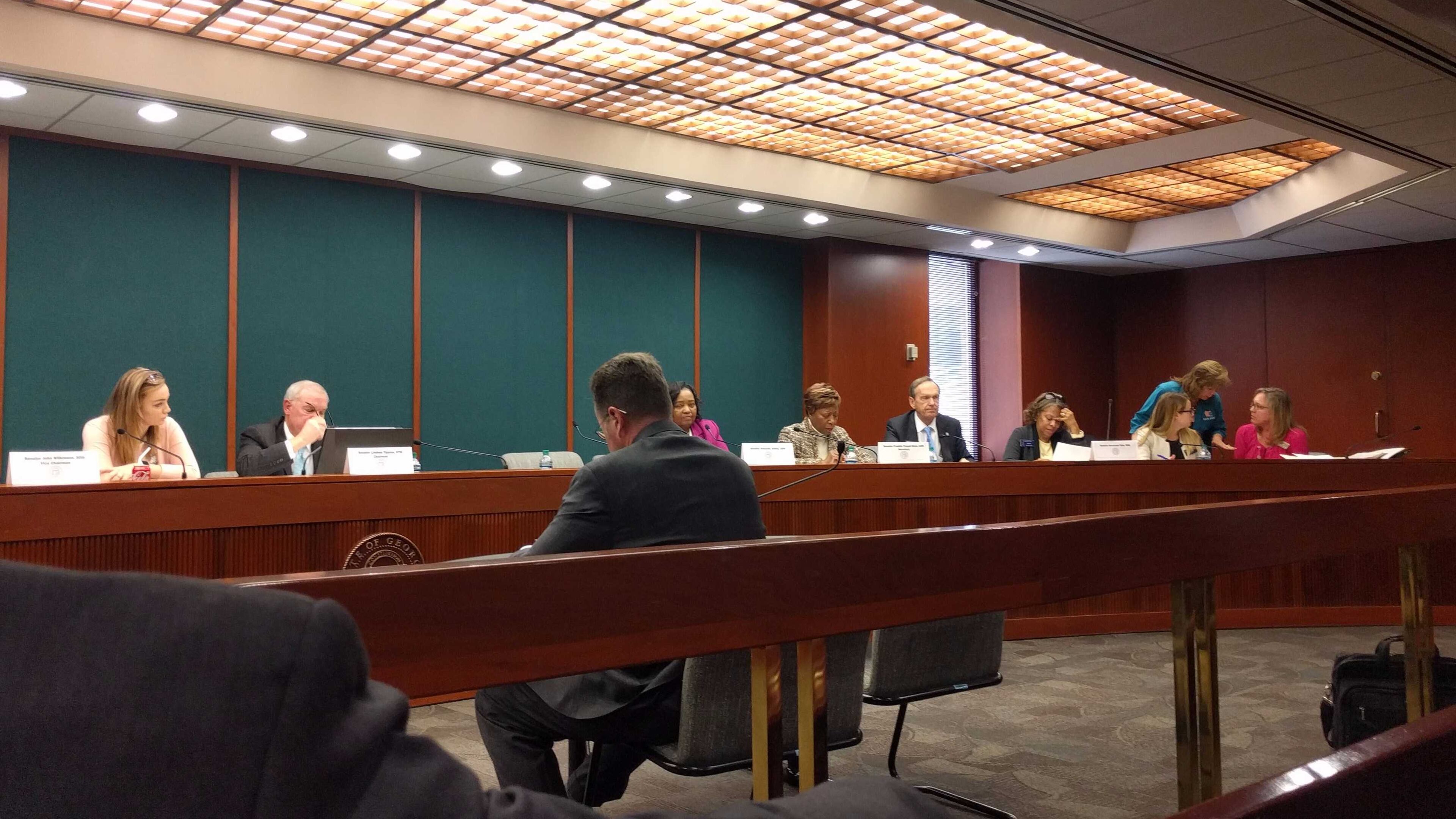 Atlanta, March 20, 2017: Georgia state Rep. Kevin Tanner, R-Dawsonville, discussed House Bill 338 with the Senate Education and Youth Committee before the committee passed the bill.