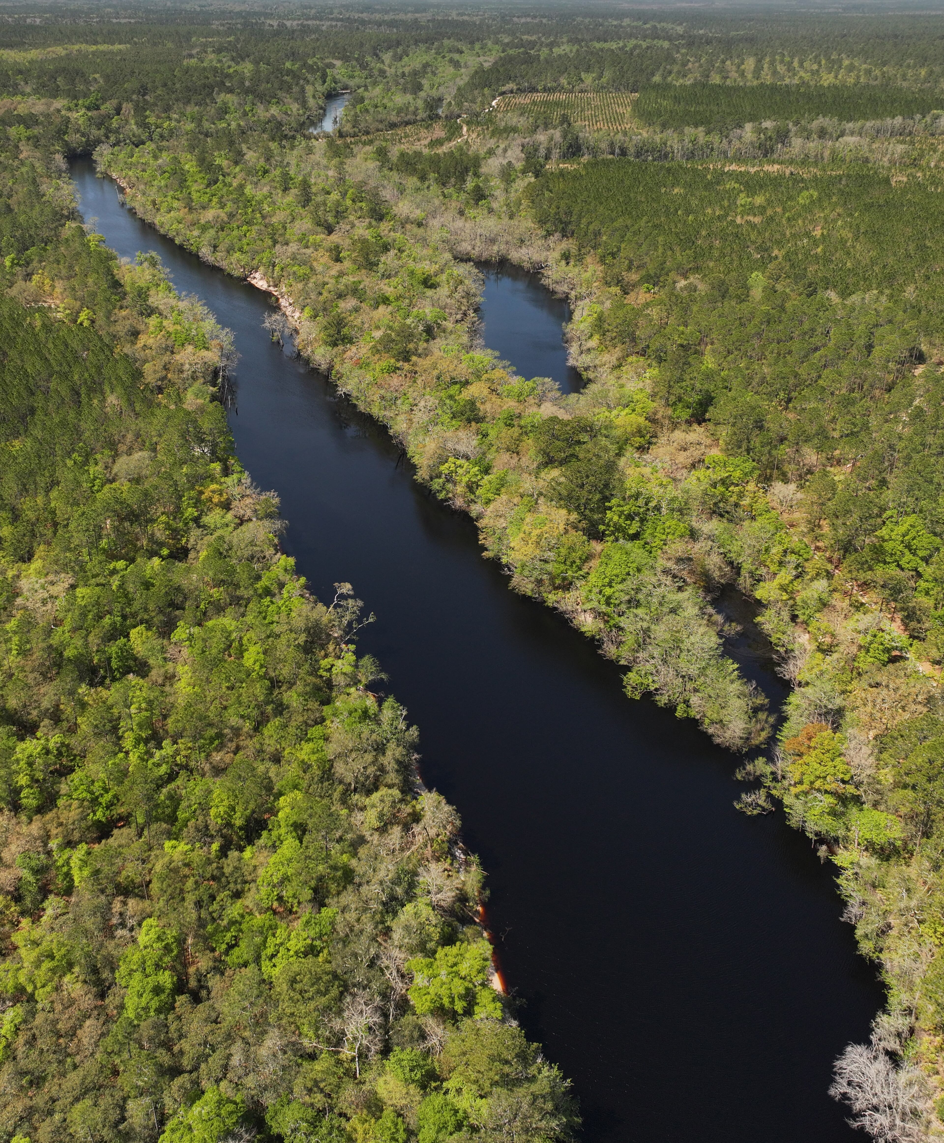 Drone photograph shows the St. Marys River, which serves as the border between Georgia (right side) and Florida (left). The 130-mile river is in southeast Georgia and is bordered by the Satilla River Basin to the north and the Suwannee River Basin to the west. (Hyosub Shin/AJC 2024)