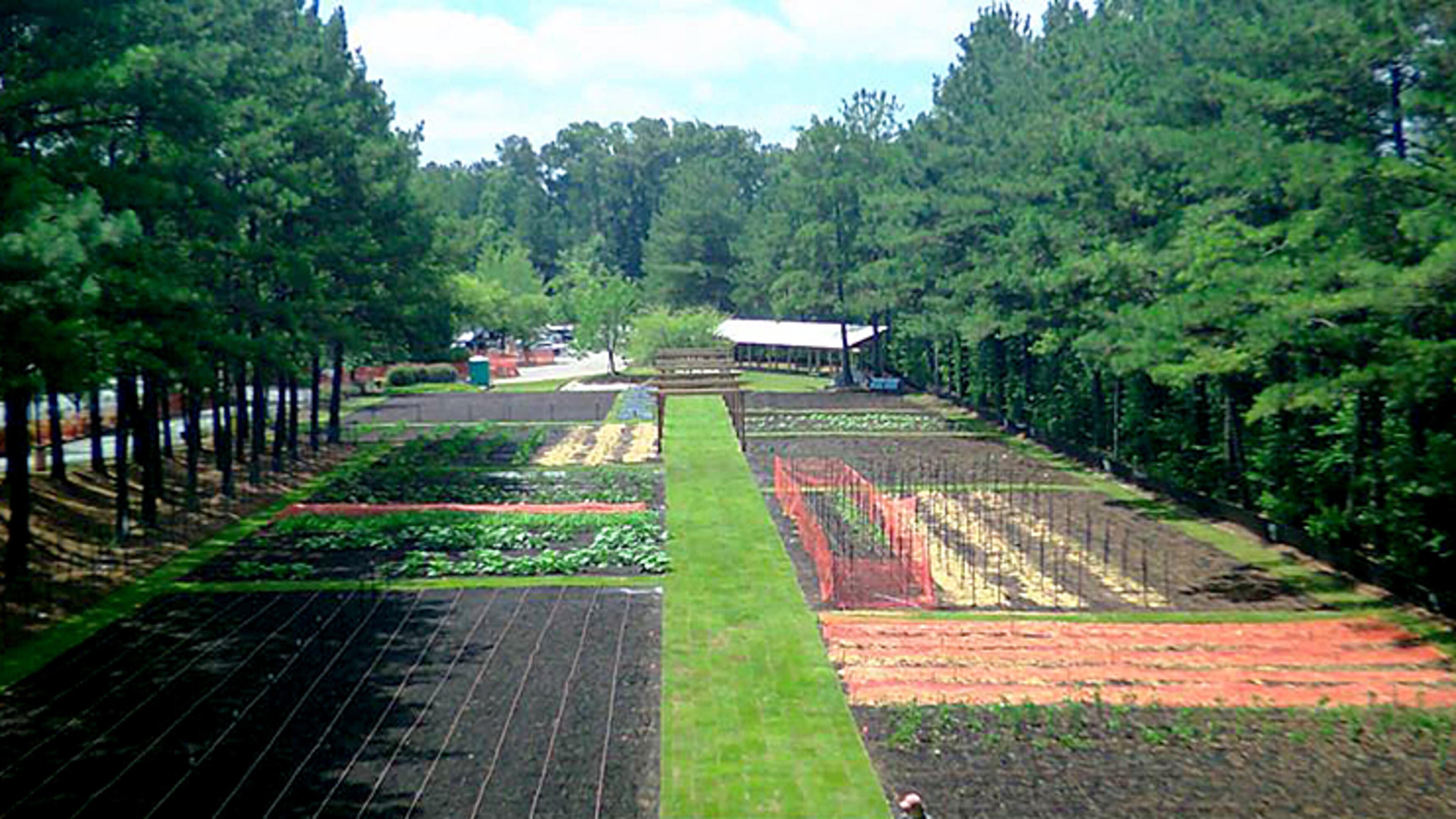 The Whole Kids Educational Farm may soon be on the move from Upper Hembree Road to Old Rucker Road in Alpharetta. The Alpharetta City Council has agreed to accept the farm’s assets as a donation from Whole Foods Market. WHOLE KIDS EDUCATIONAL FARM