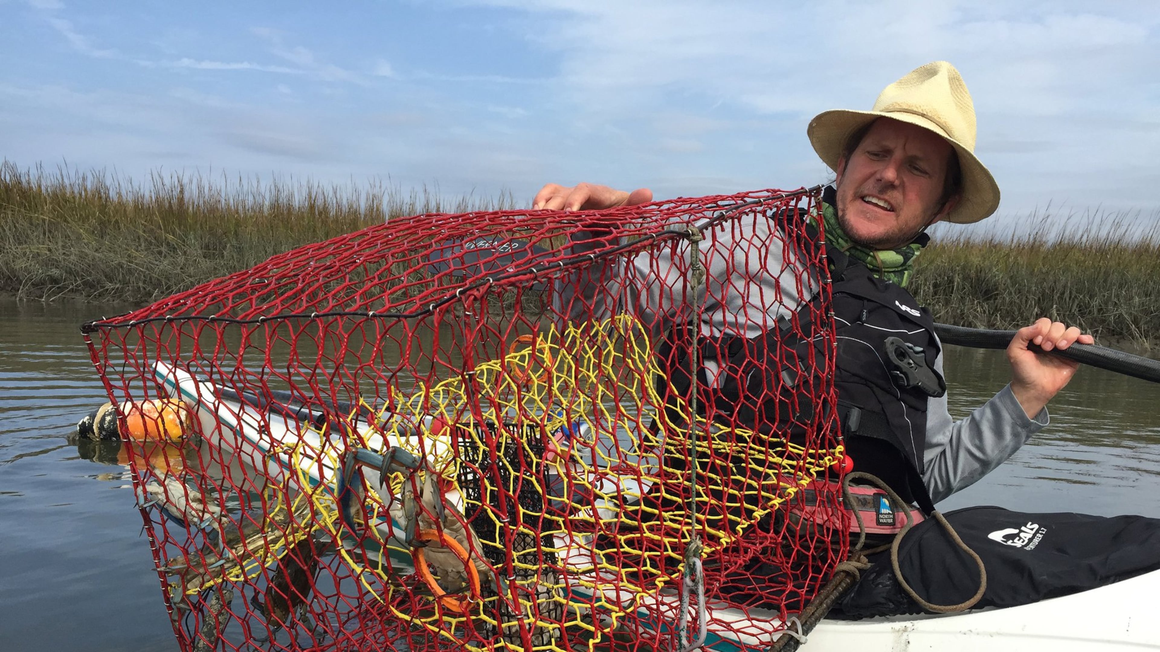 Coastal Expeditions’ Chris Crolley pulls up a crab trap during a kayak tour out of Shem Creek. Lori Rackl/Chicago Tribune/TNS