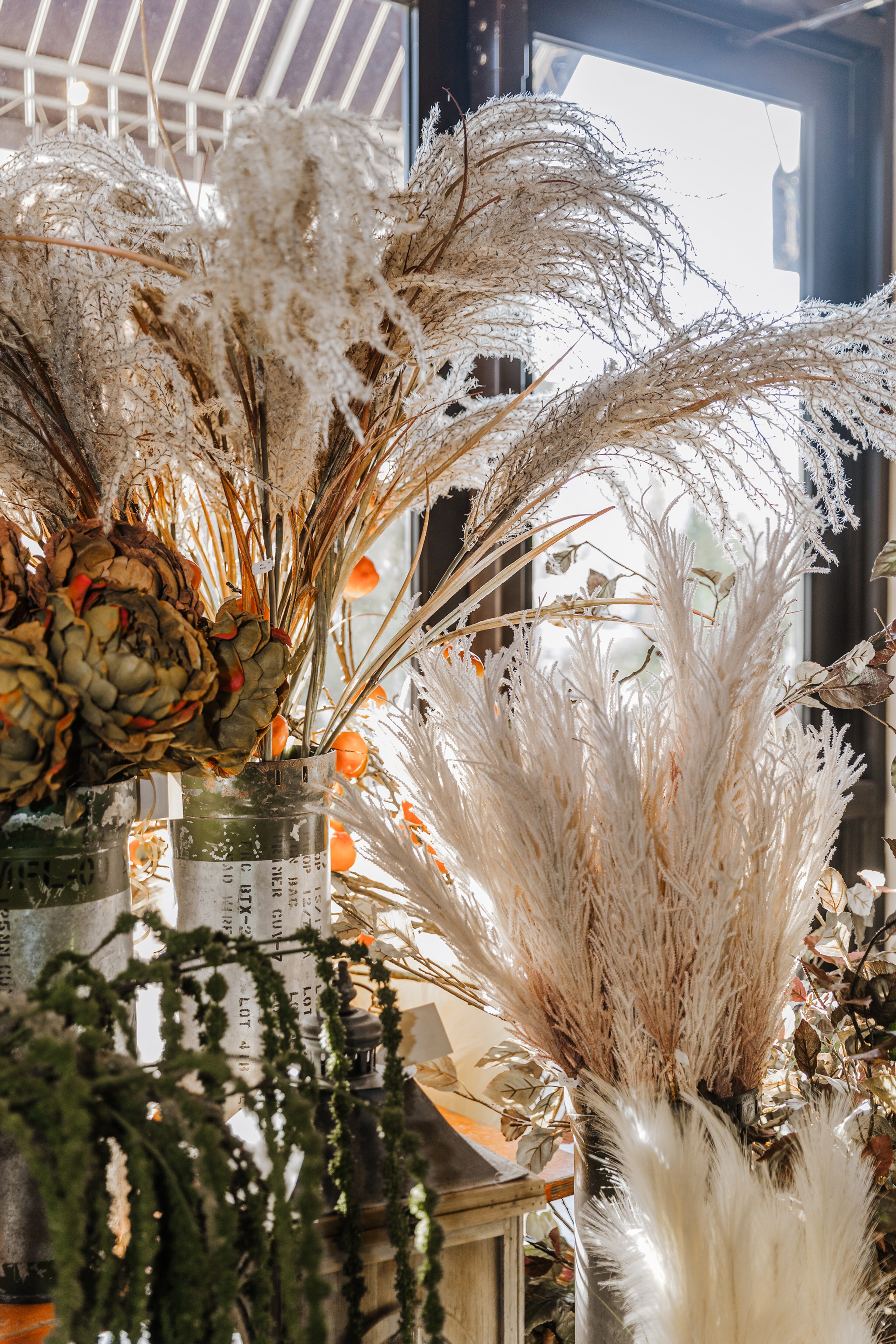Pampas grass is a stunning (and fluffy) addition to your foliage collection that brings to mind a bountiful harvest and swaying pastoral waves of grain. Karlyn Kubin/TNS
