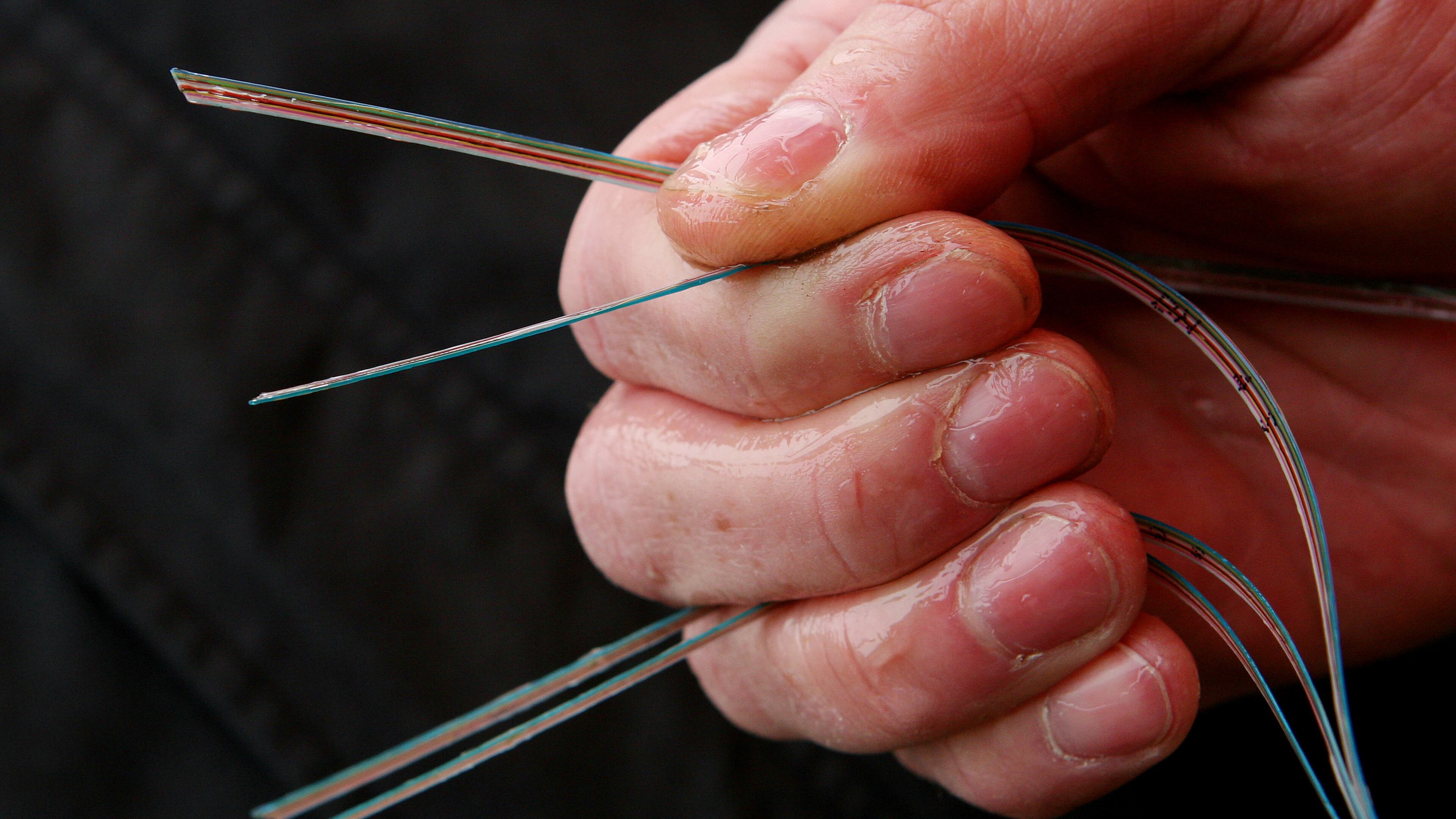 A Verizon lineman grips the strands contained in a fiber optic cable in this file photo. AP Photo/Mark Lennihan