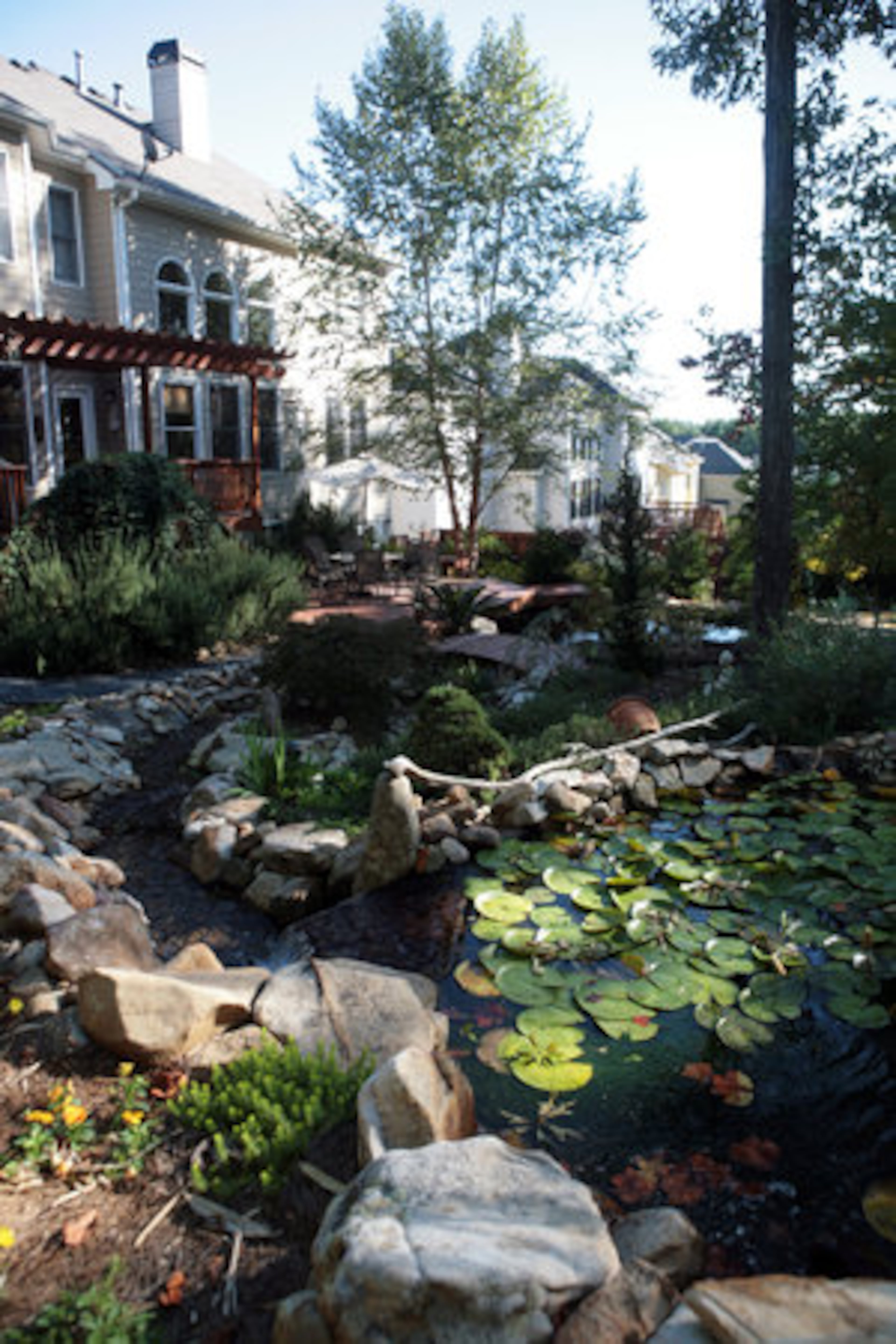 Rocks and boulders that a then-pregnant McCraw placed in her garden delineate the waterways from the planting beds. Pansies provide pops of color in between evergreens, perennials and tropicals. "It looks like a lot to maintain, but it isn't because there's no grass," she said. "I've had setbacks as a single mom in trying to take care of everything, but I'm really proud of what I've done here."
