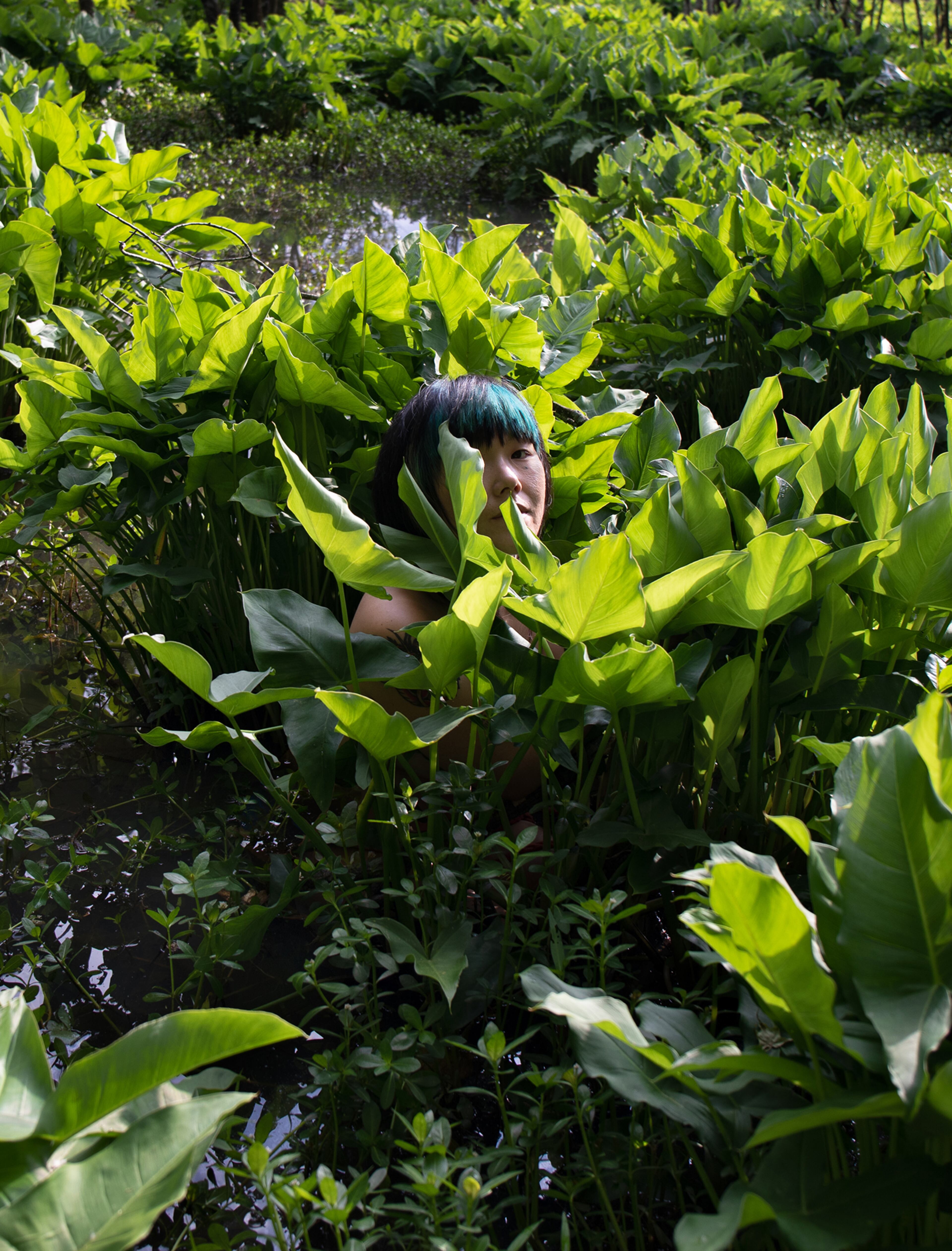 "Gracie in Weelaunee" from Charlie Watts' Whitespace Gallery exhibition "Entangled."
(Courtesy of Whitespace Gallery)