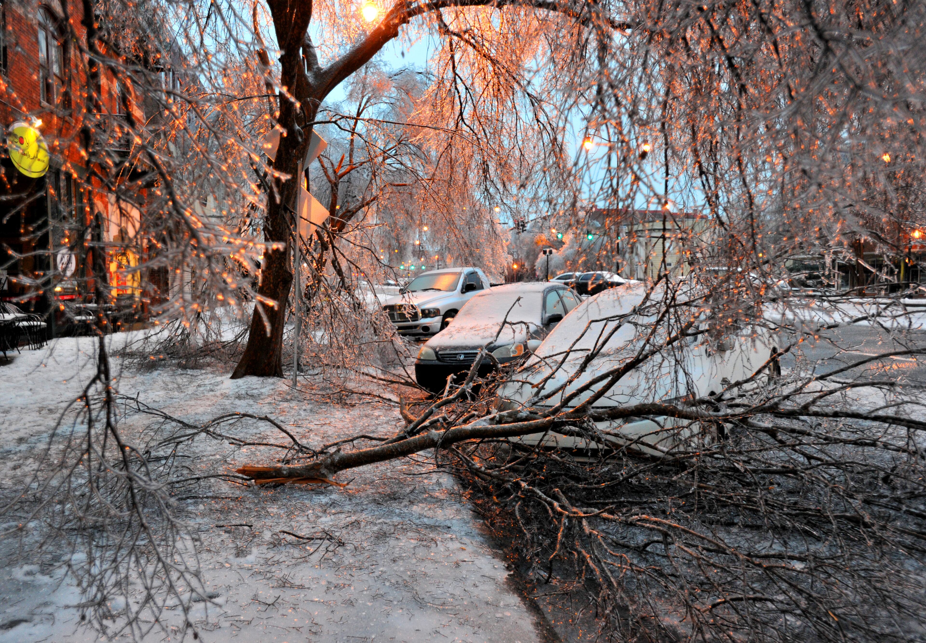 The ice storm caused many trees to break under heavy limbs on Broad Street in downtown Augusta on Thursday, February 13, 2014.HYOSUB SHIN / HSHIN@AJC.COM